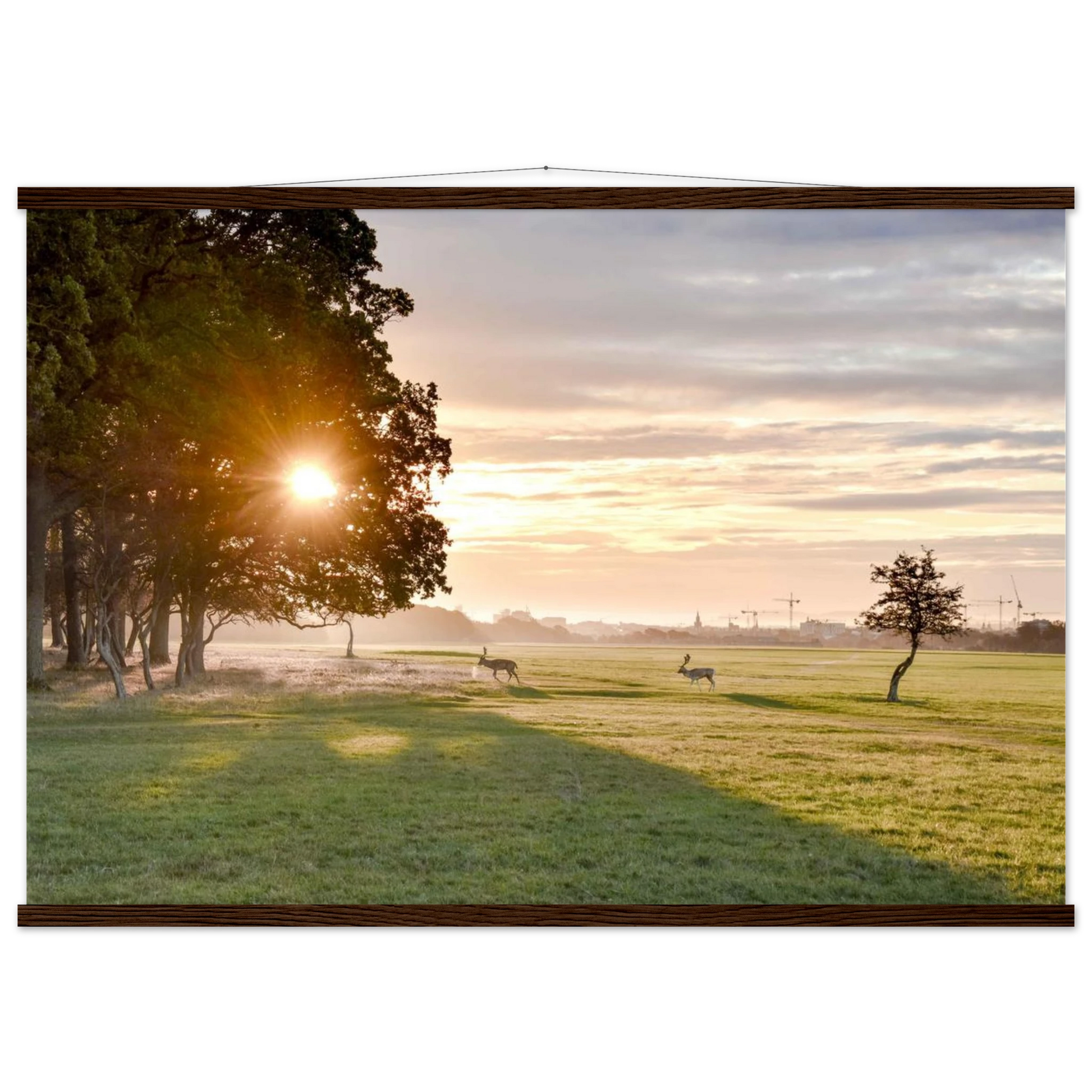 f1b5eeac-ba32-4526-956f-240d3b85e2e7