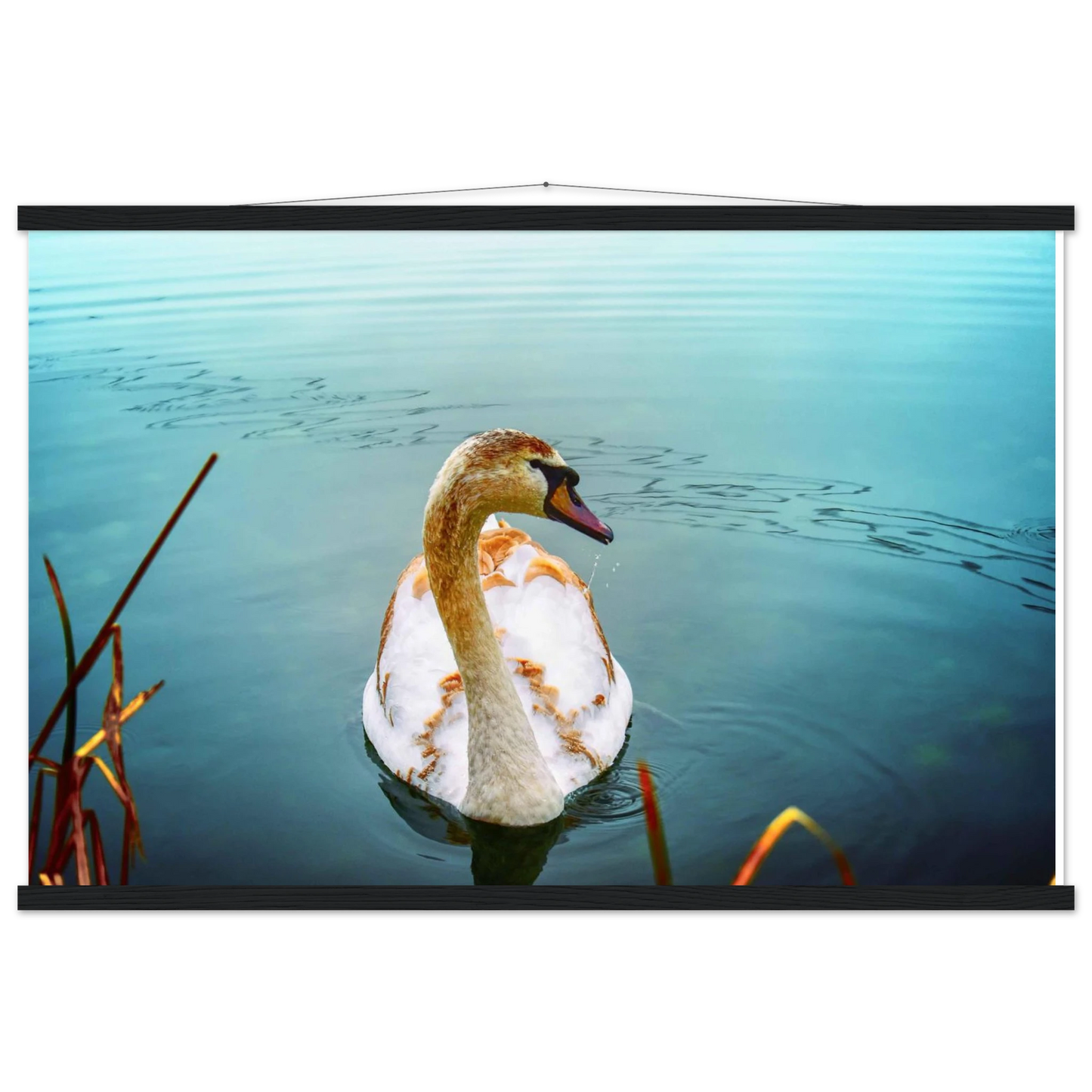 f1f98e7f-b36c-4af8-996f-f8488c284af6