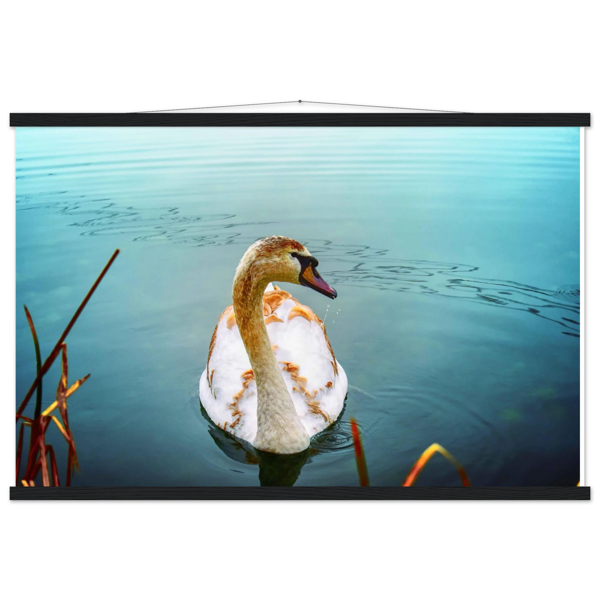 f1f98e7f-b36c-4af8-996f-f8488c284af6