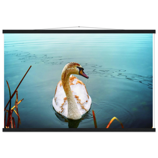 f1f98e7f-b36c-4af8-996f-f8488c284af6