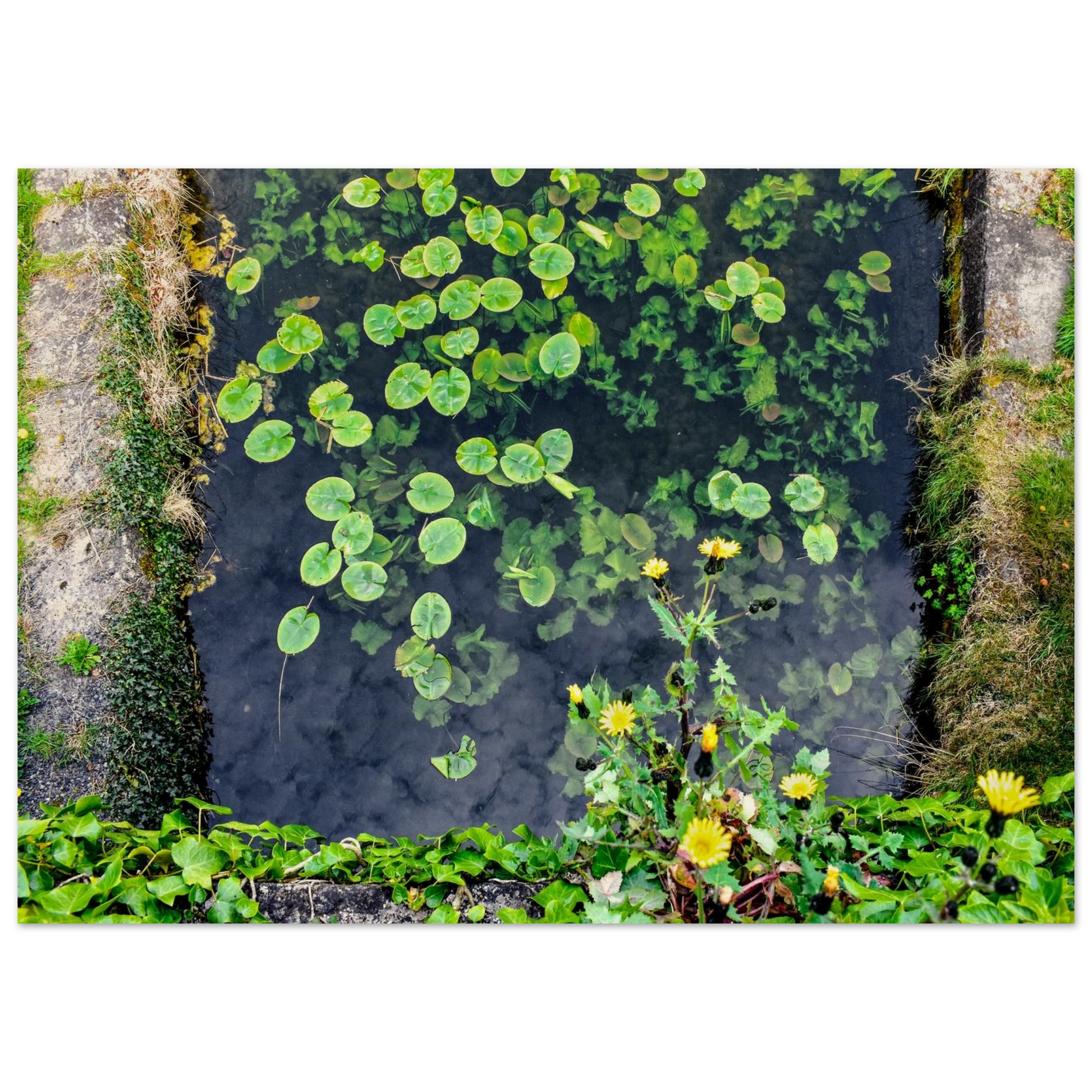 f20a4de3-805b-4a04-9e9e-b66df305d1d8