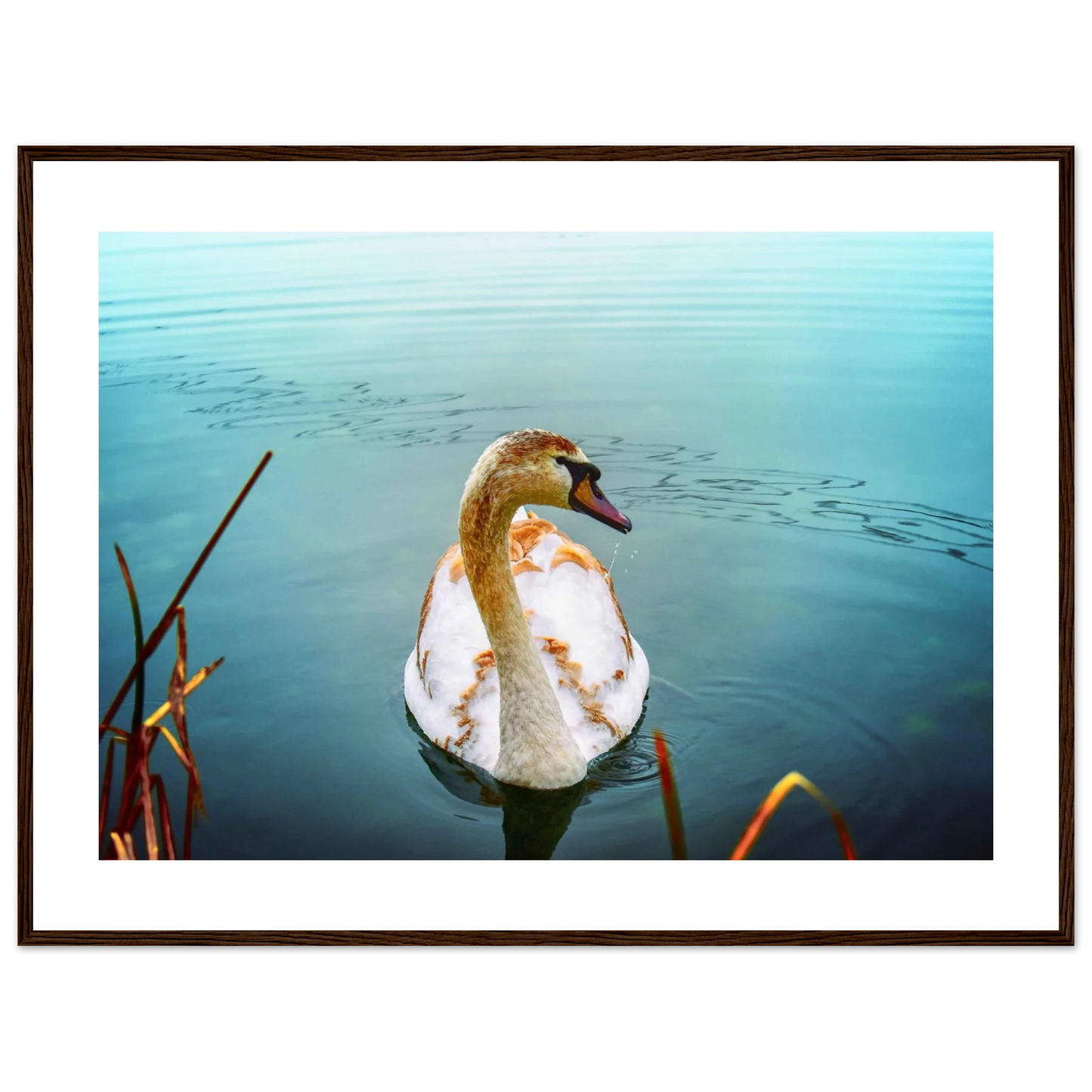 f29ac0d3-6cc0-4d31-b9cf-bb61ec932b3d