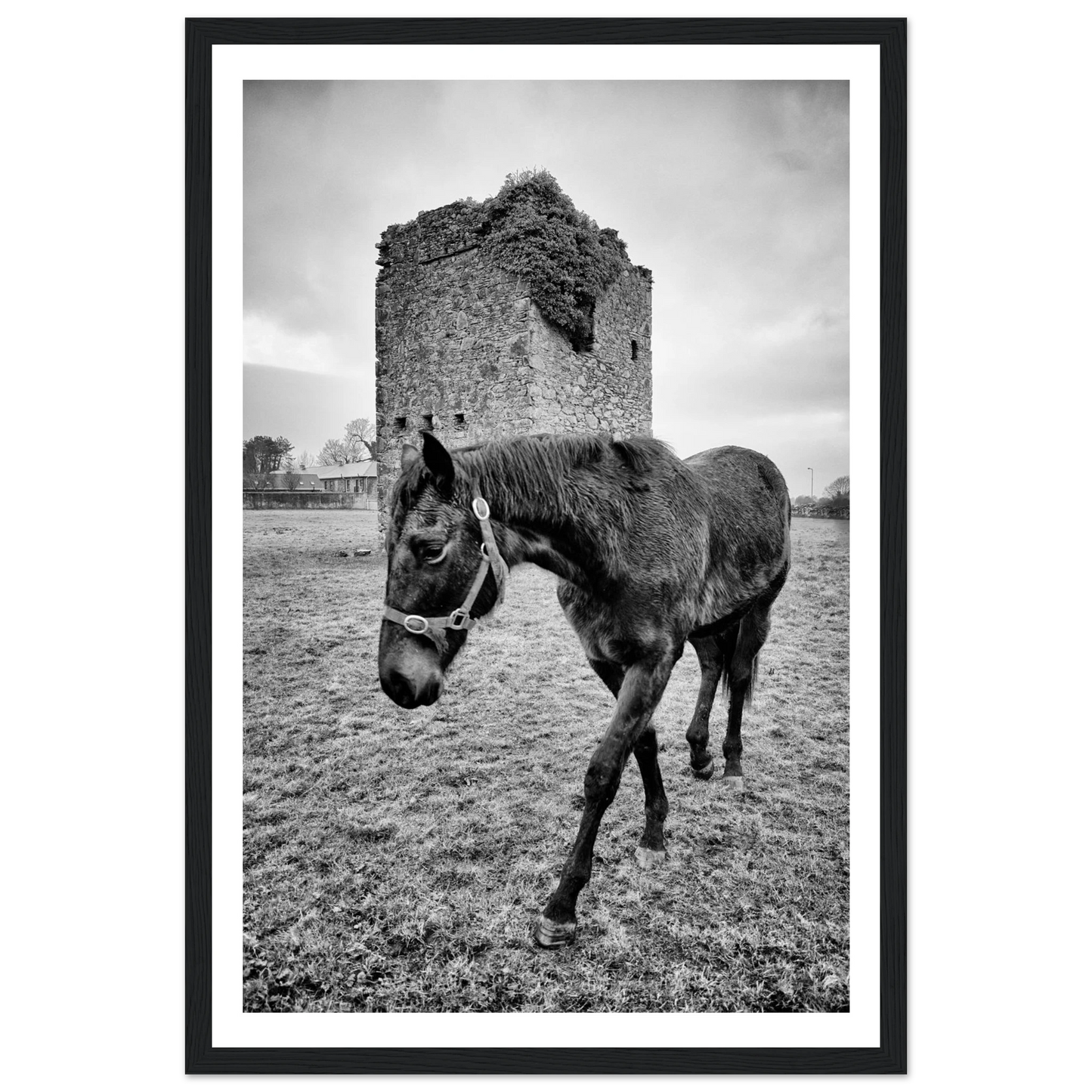 f2b96ef3-2dba-42c7-aa45-b035698dcb5a