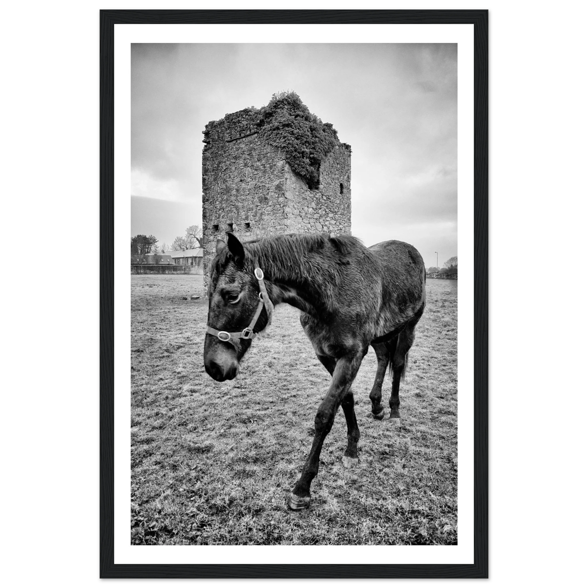 f2b96ef3-2dba-42c7-aa45-b035698dcb5a