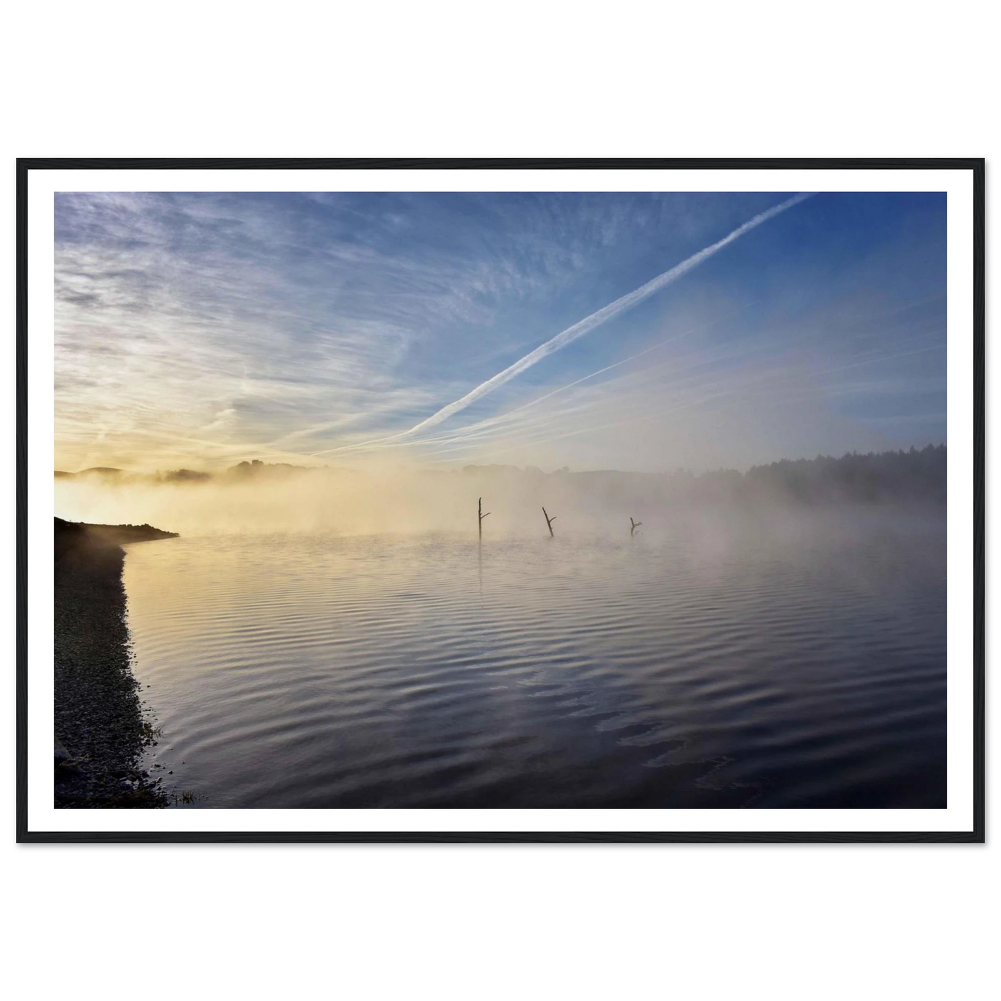 f3015e8d-be38-4b0f-aa4a-96ed8756a9a5