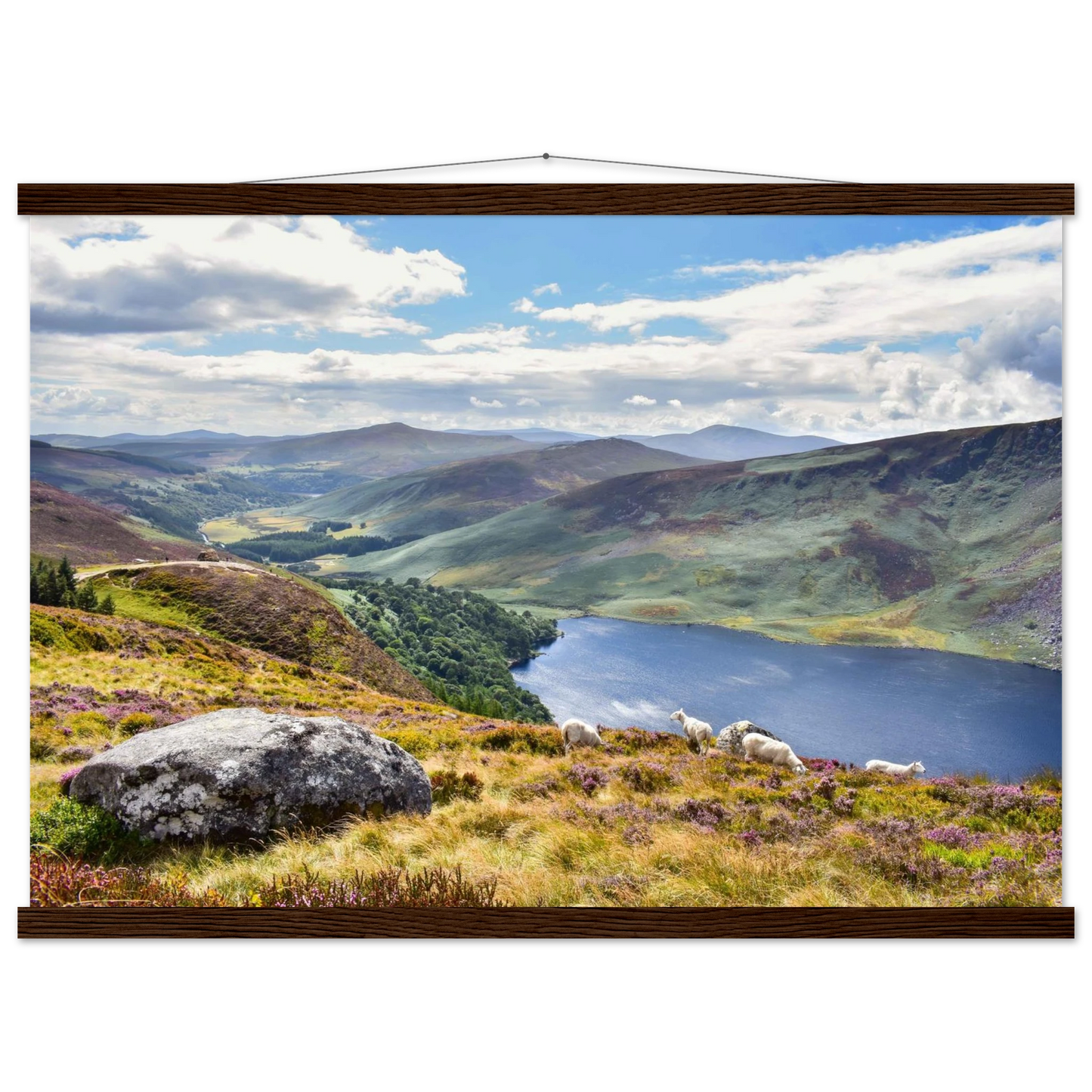 f333c746-37ba-46a9-a9b5-97a104ae94fb