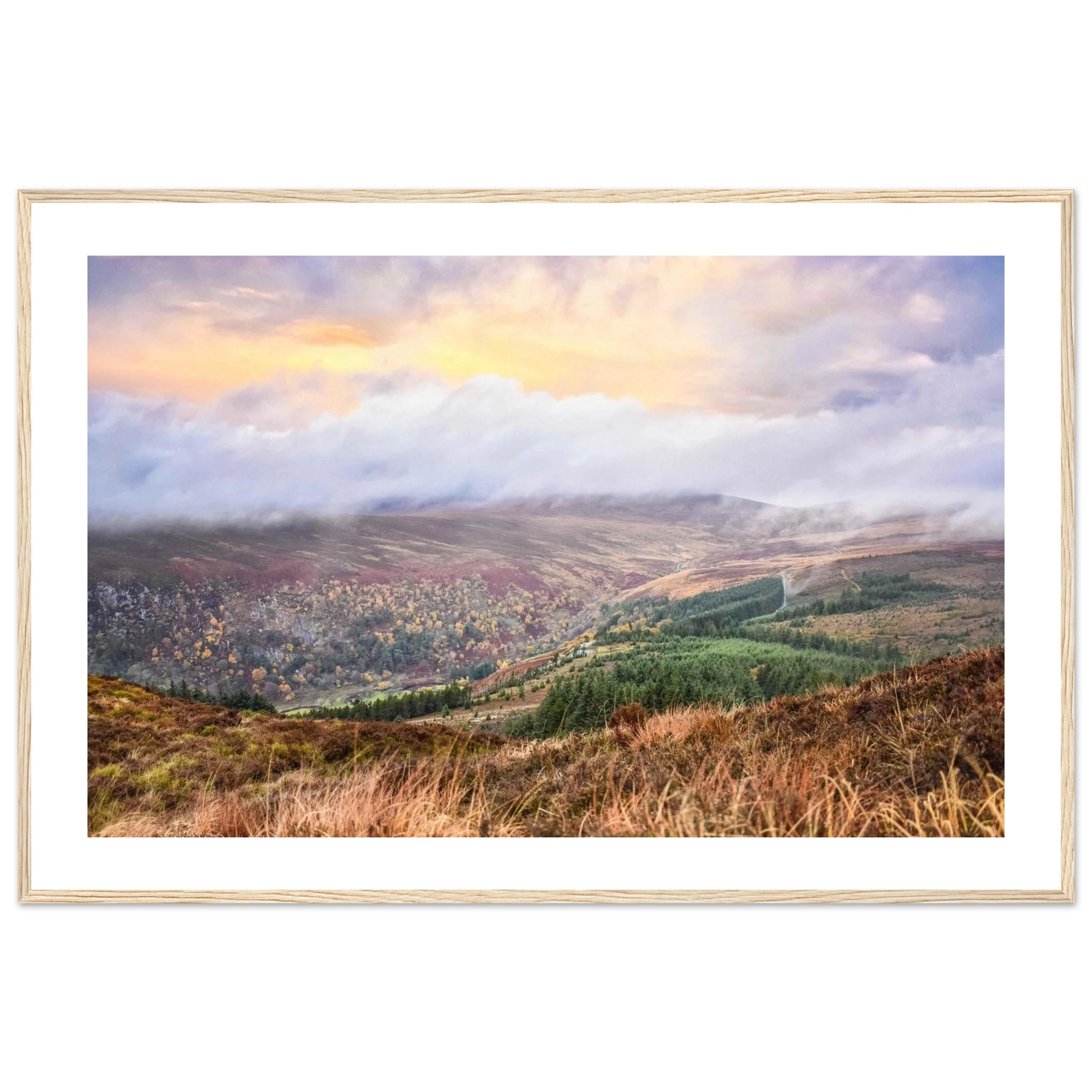 f3418986-38b1-4ebd-9365-70017e43ad98