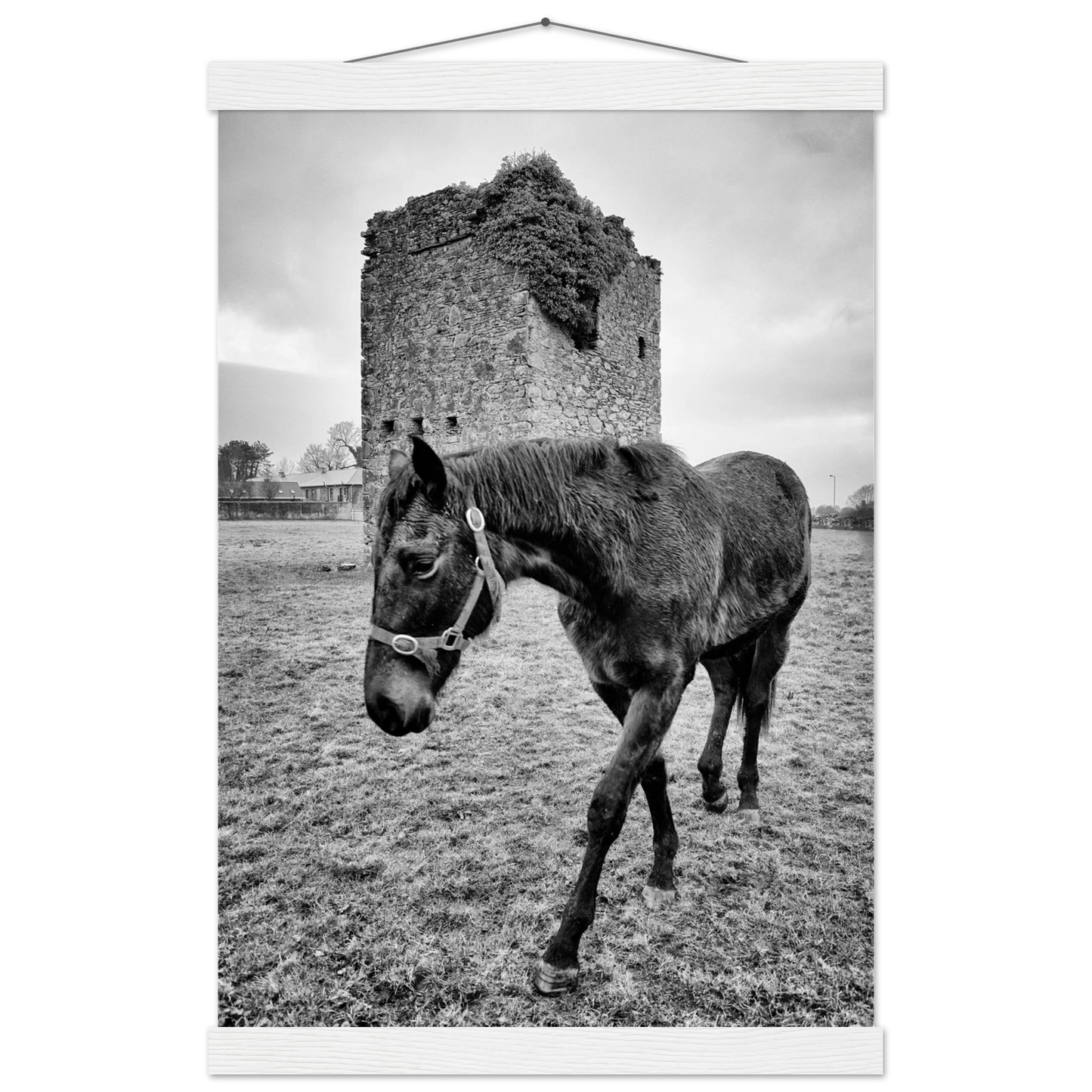 f369a373-bc66-4ce9-a915-eccaed23f434