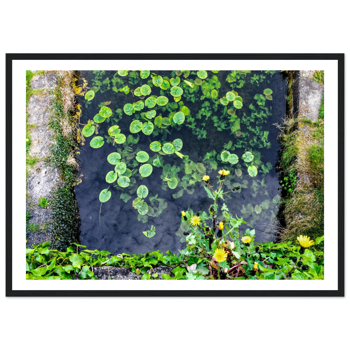 f3a712ff-242e-48d8-838c-922adaac88b2