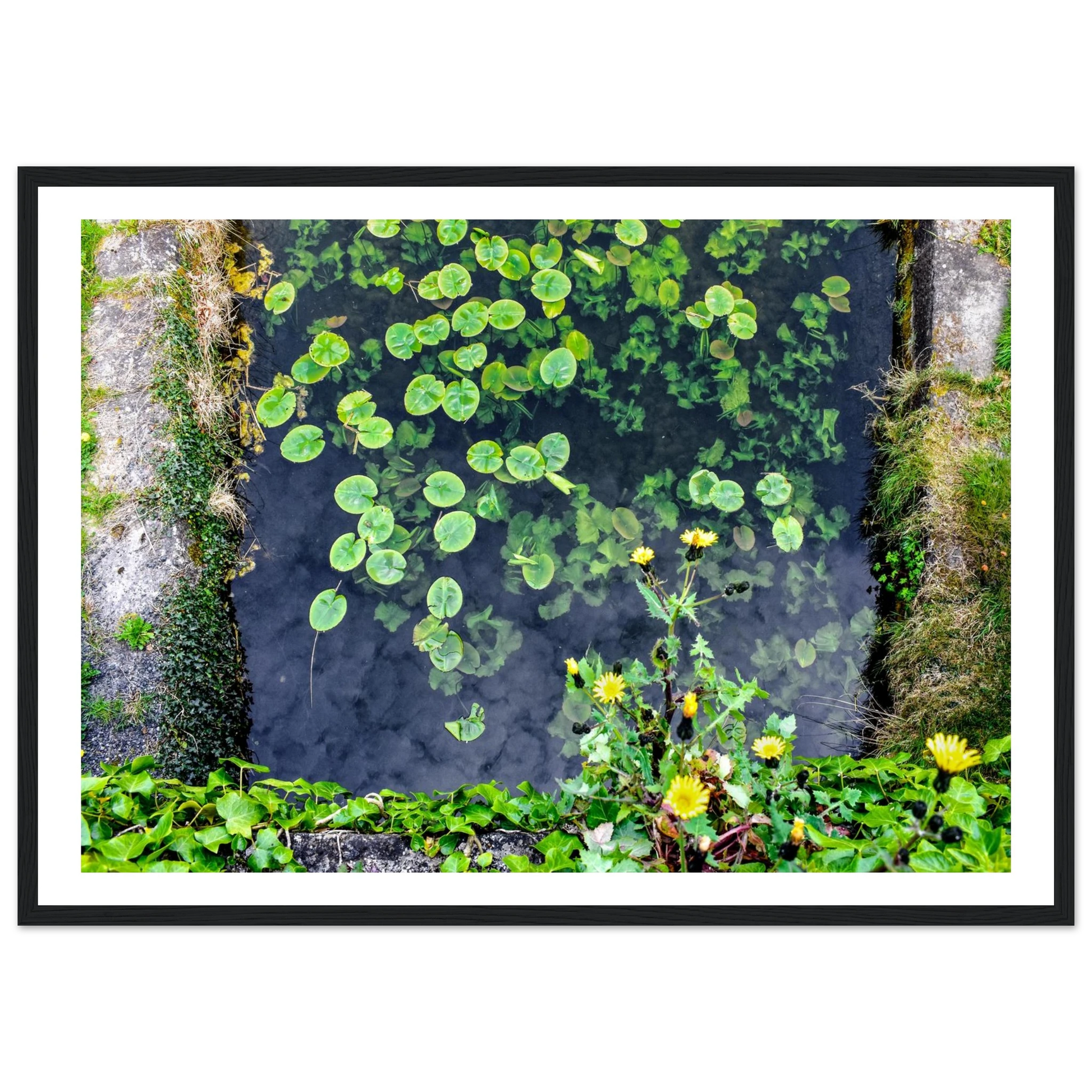 f3a712ff-242e-48d8-838c-922adaac88b2