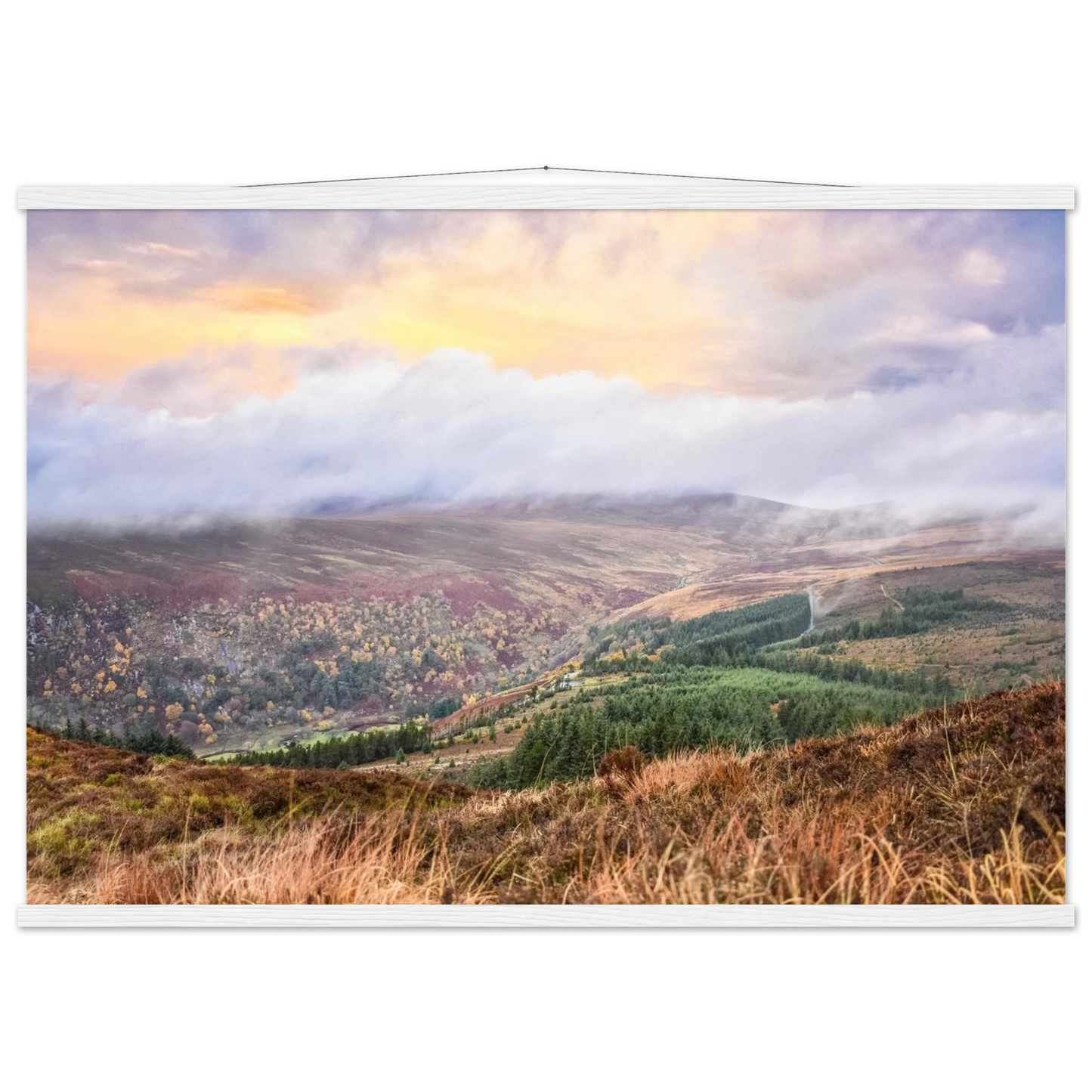 f3b4eb03-6b24-4ff6-8f84-7db13ae28d45