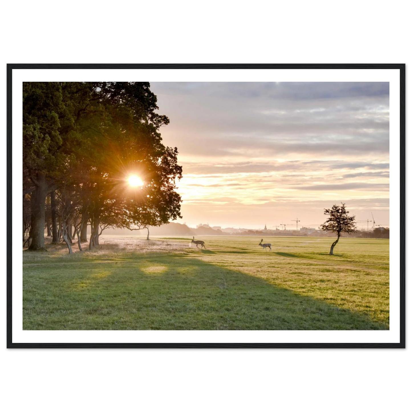 f3d3d93a-fc62-4120-9f27-59160b09d4e6