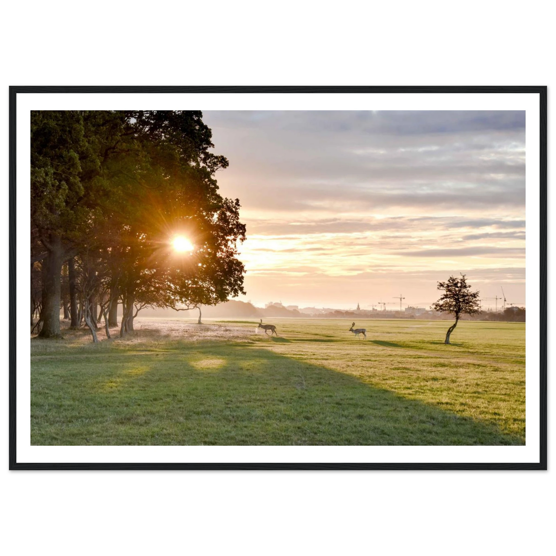 f3d3d93a-fc62-4120-9f27-59160b09d4e6