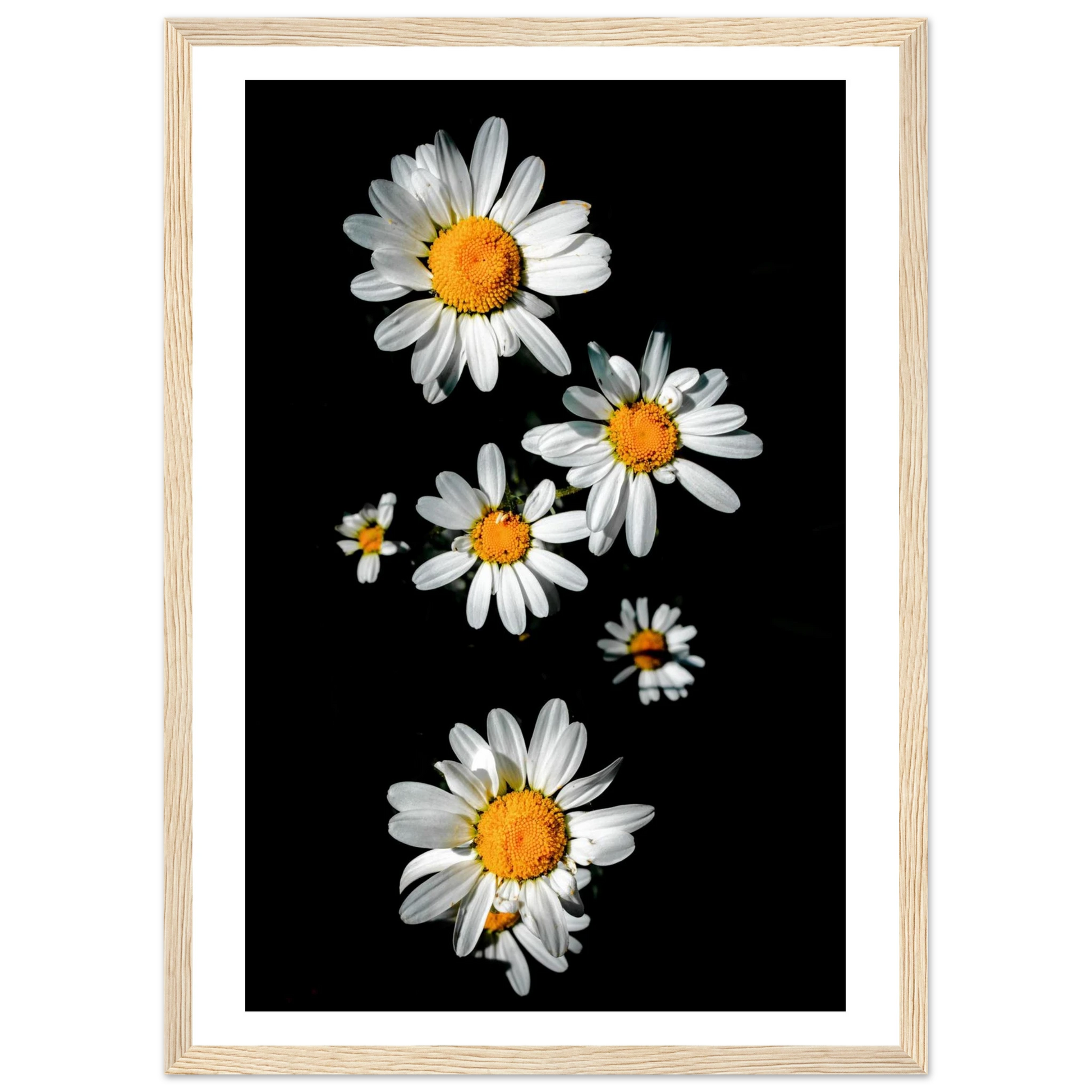 f3dd6710-1c18-4166-9847-992baa1a0992