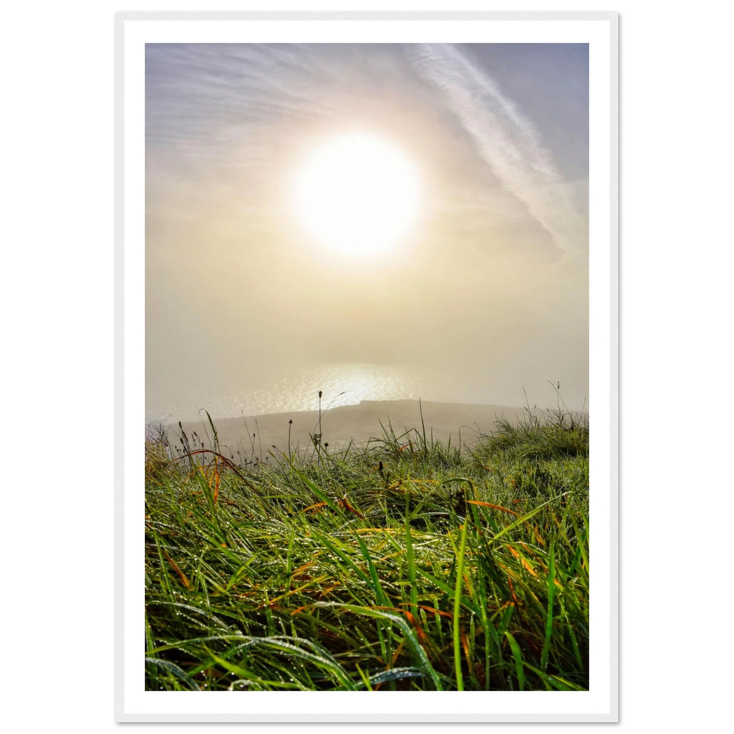 f406384d-c373-4ba9-a629-137248e40764