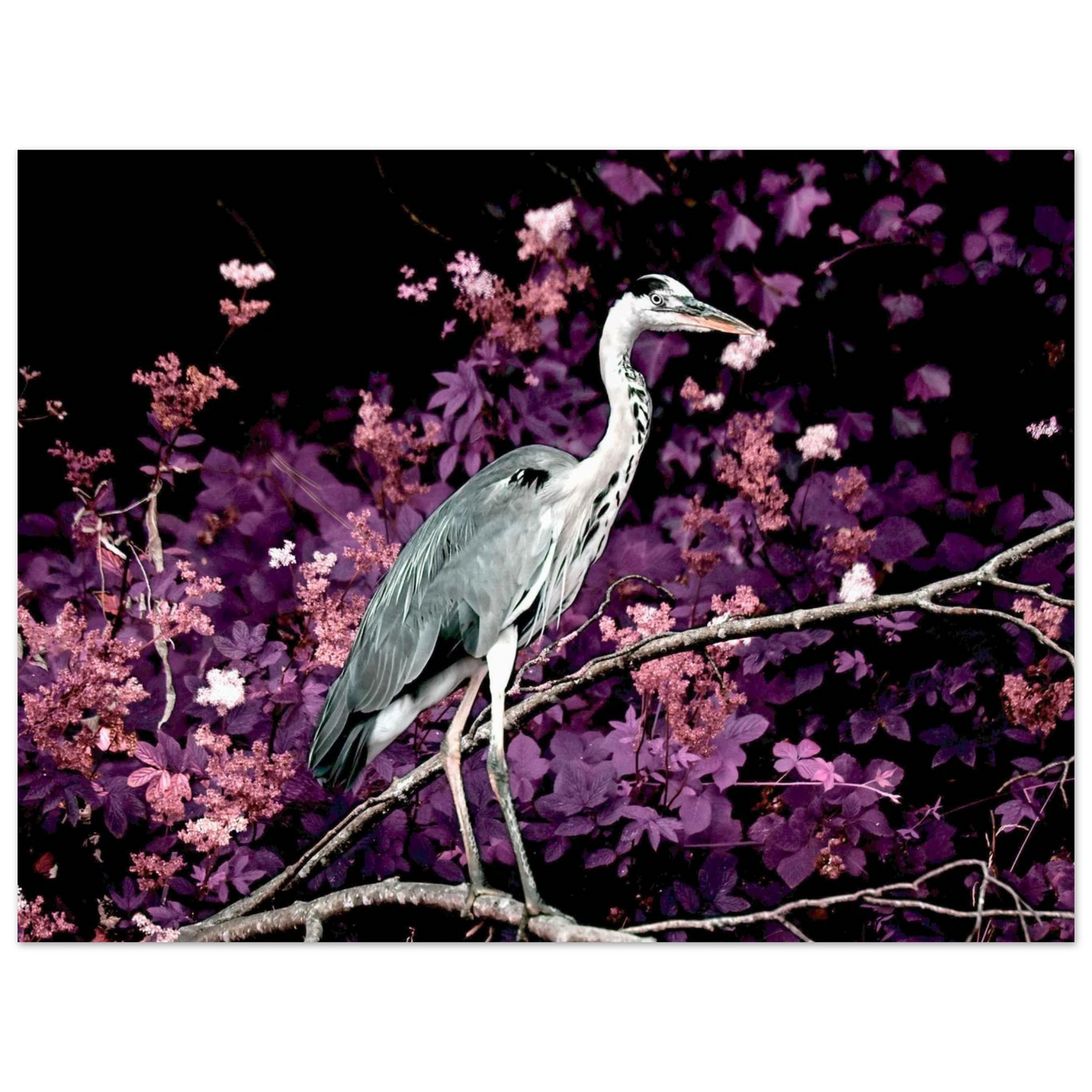 f4197c88-7452-485f-9a99-58a335177786