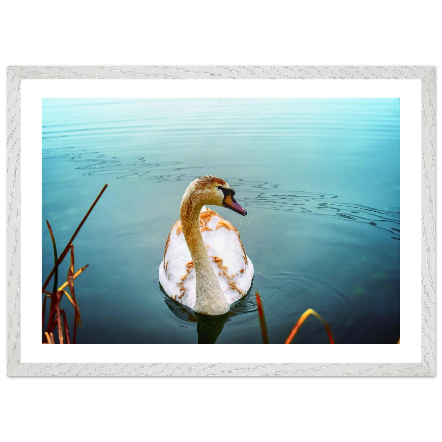 f47b1fe7-11da-4eb9-8f5f-1110f1f45a21