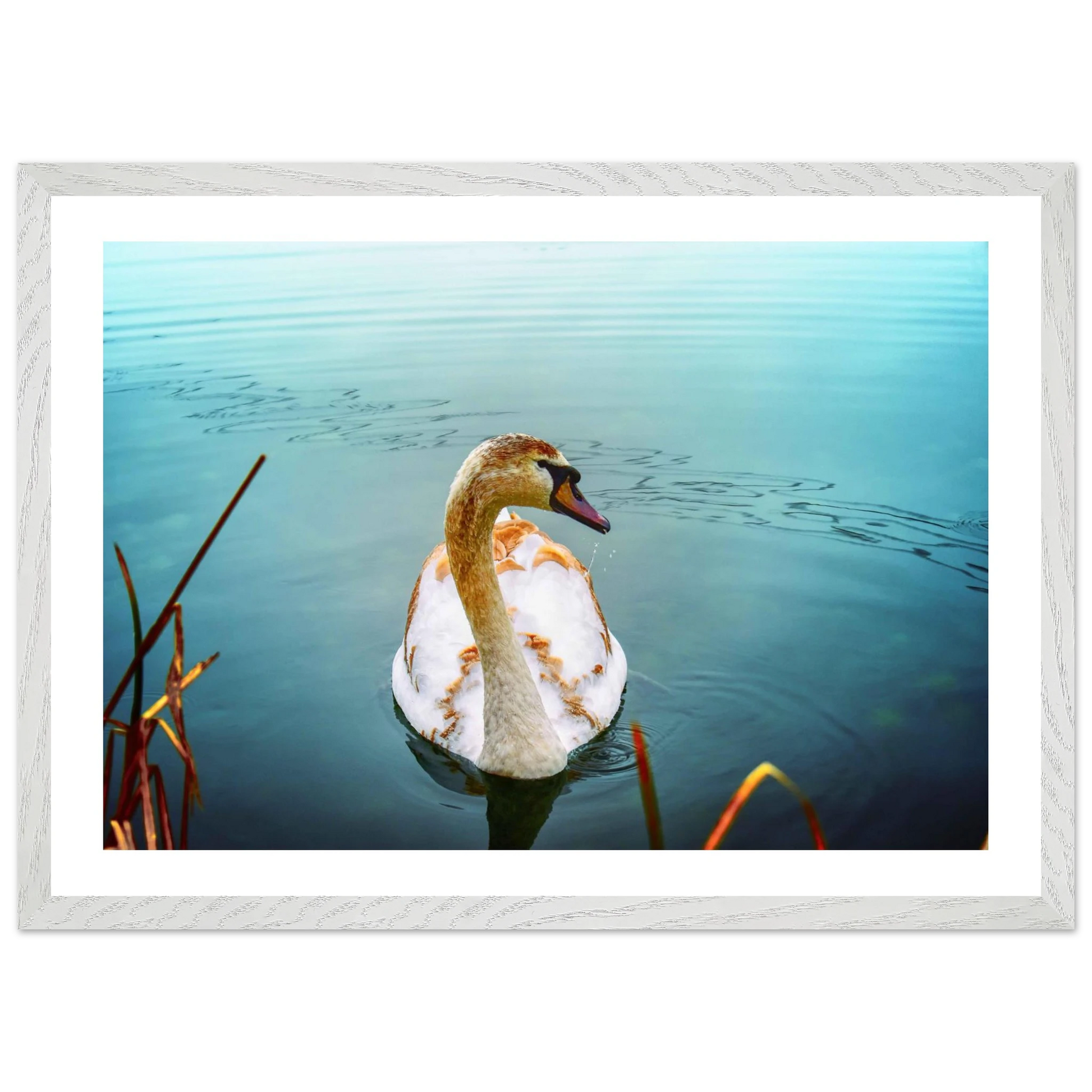 f47b1fe7-11da-4eb9-8f5f-1110f1f45a21