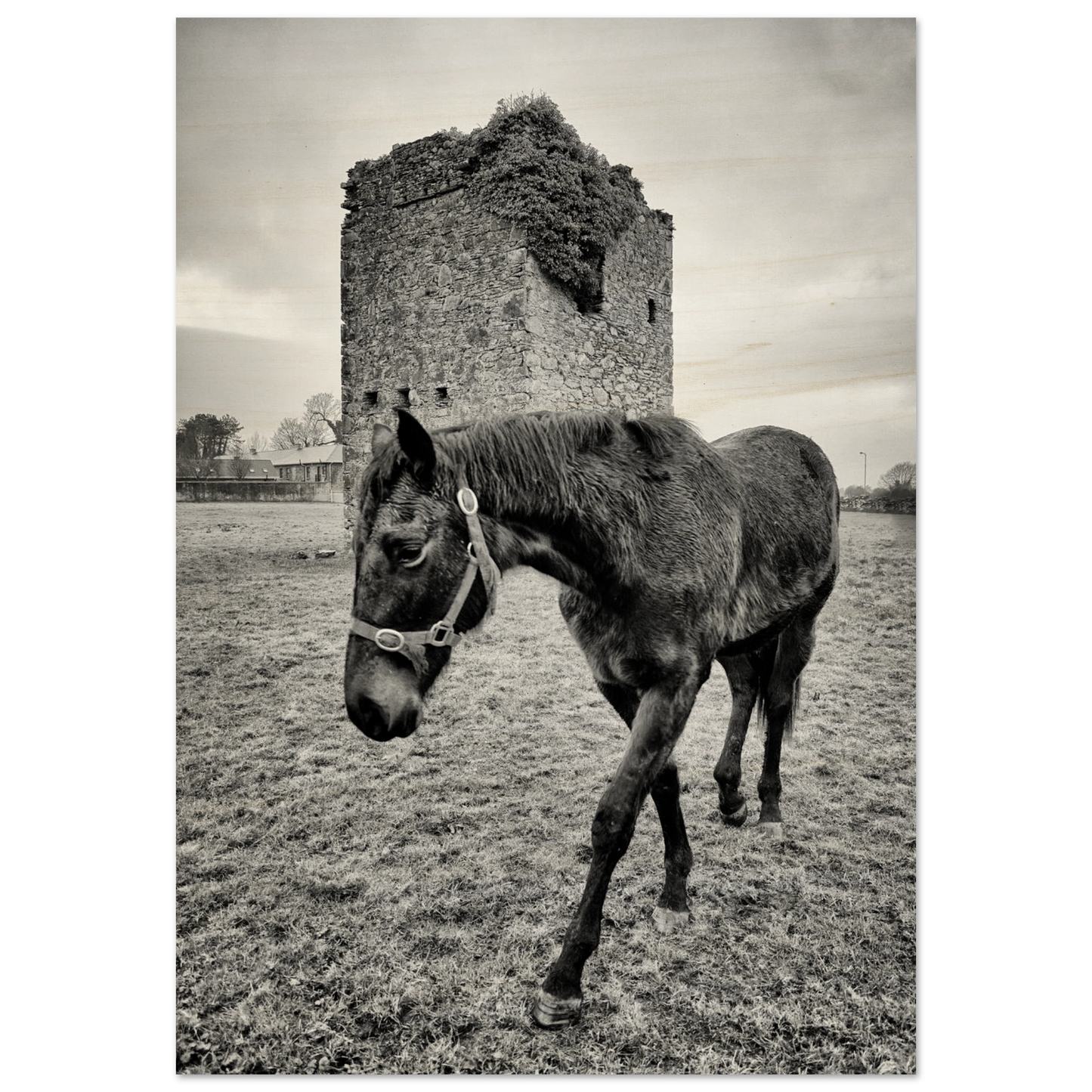 f4a07377-6e93-46d2-9019-1cae556d278b