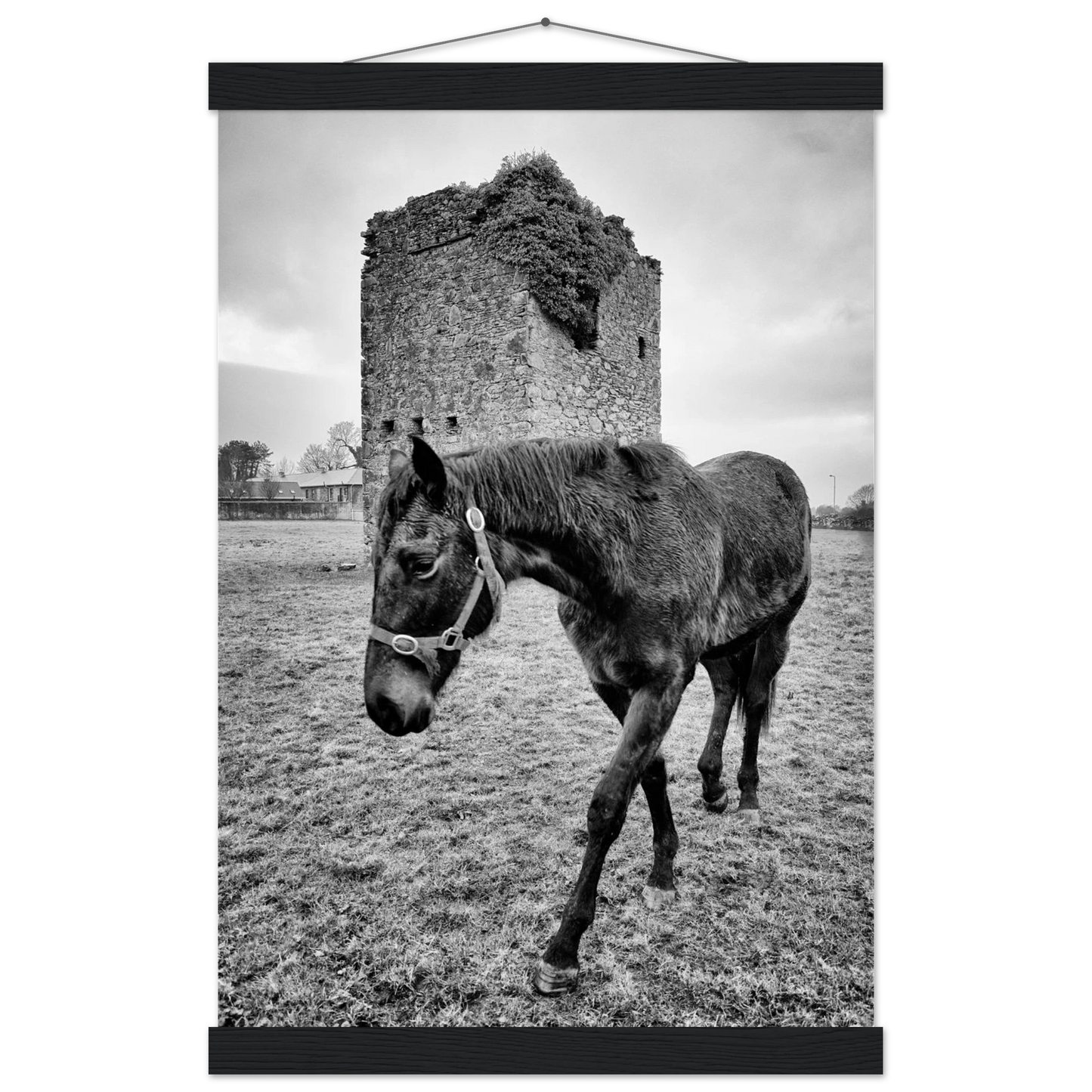 f4af61ca-79f7-48ea-ba87-1e3946c8e355