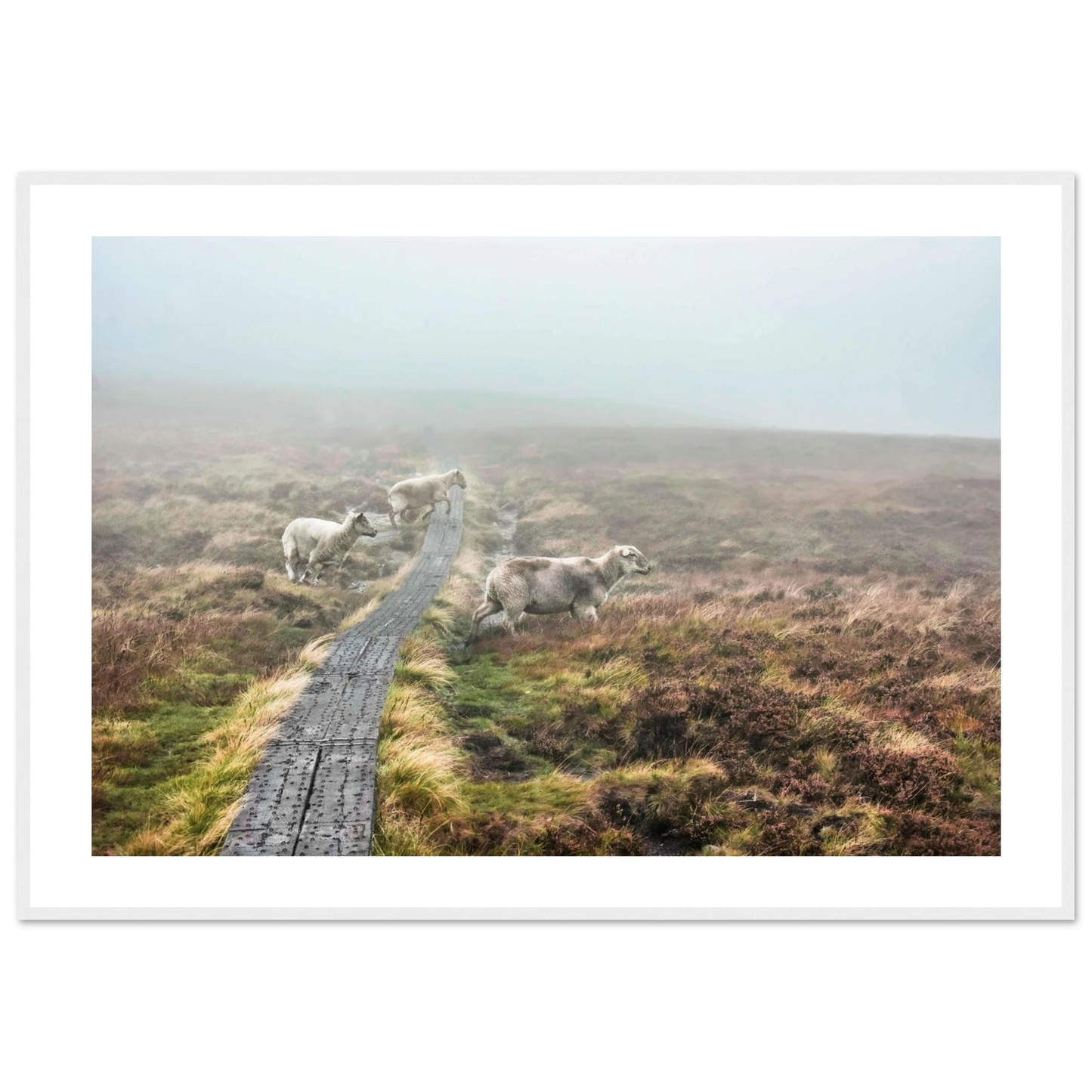 f4c3d0ee-7f3c-45d5-aa08-d25d4db5961d