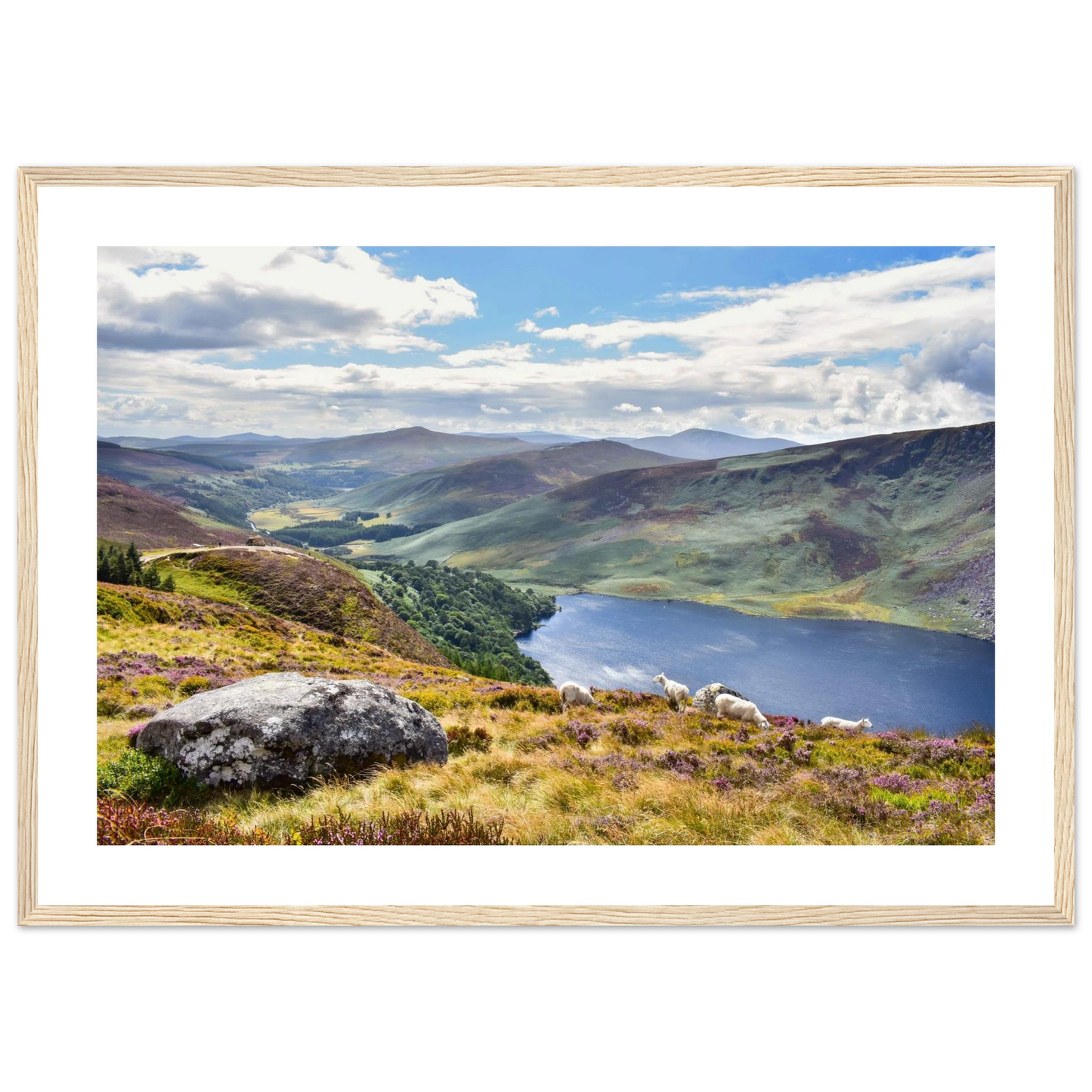 f4f53ccb-9c1c-4479-9d27-d44ae95c6af4