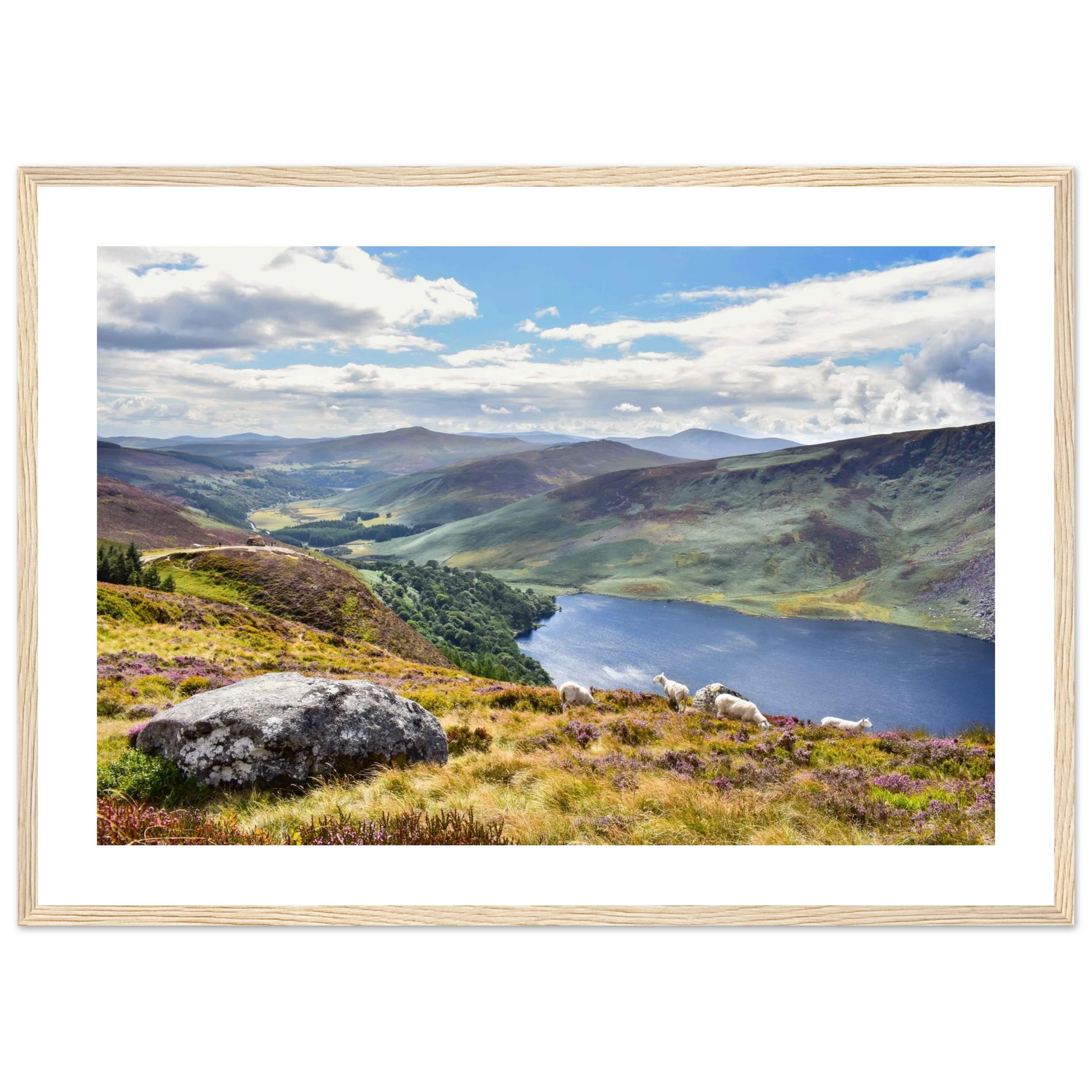 f4f53ccb-9c1c-4479-9d27-d44ae95c6af4