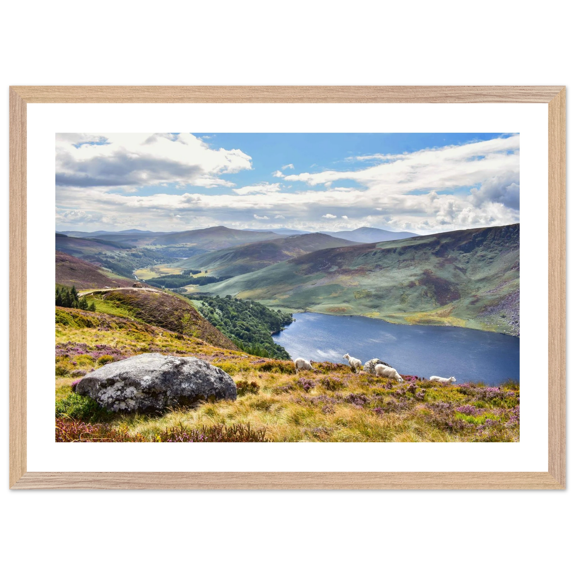 f54c4088-4ce1-4e89-b07a-ad0d57b2e446