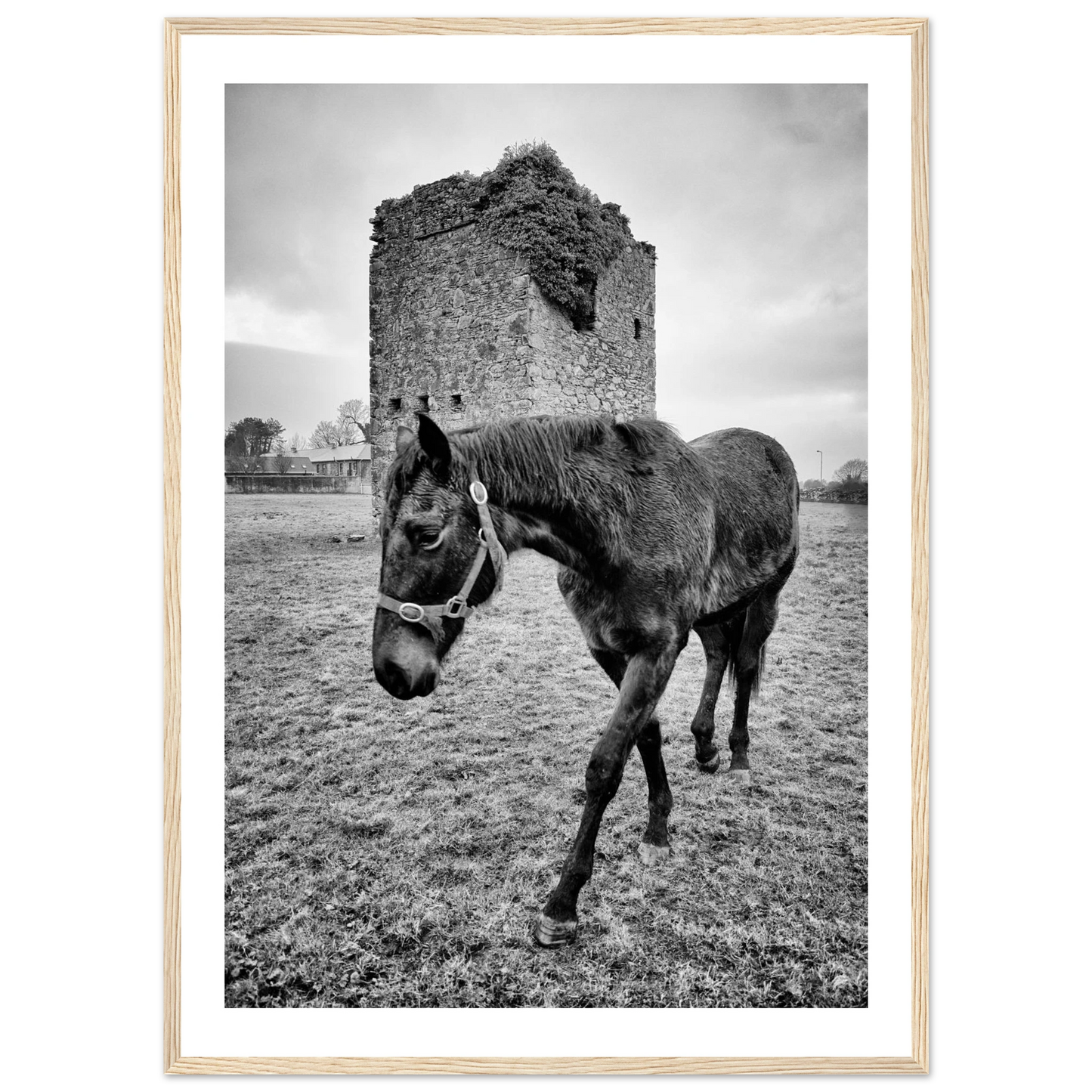 f563ffa7-dbf4-40db-81c4-17640b671611