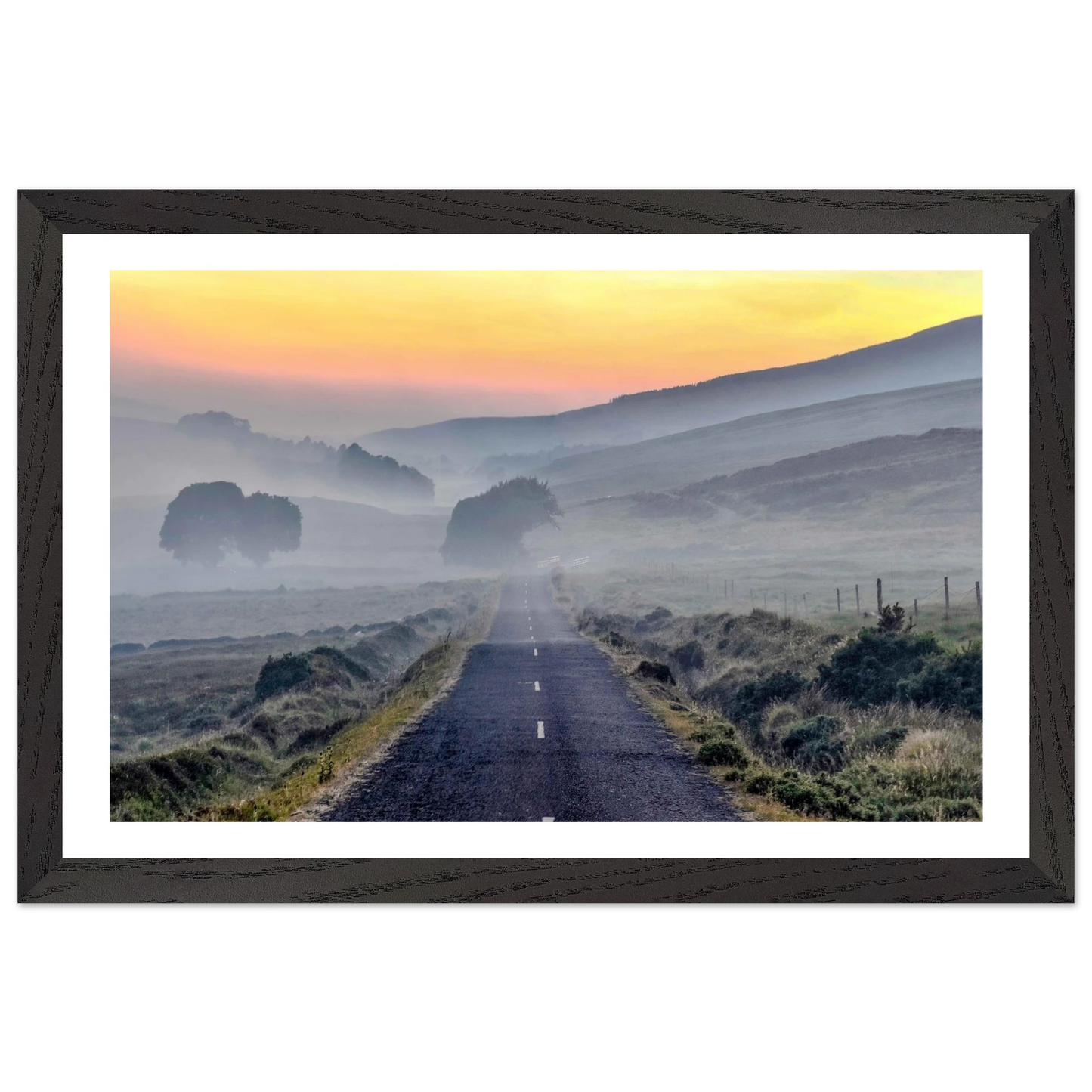 f570ff5c-5722-431b-ad23-9e898633a679