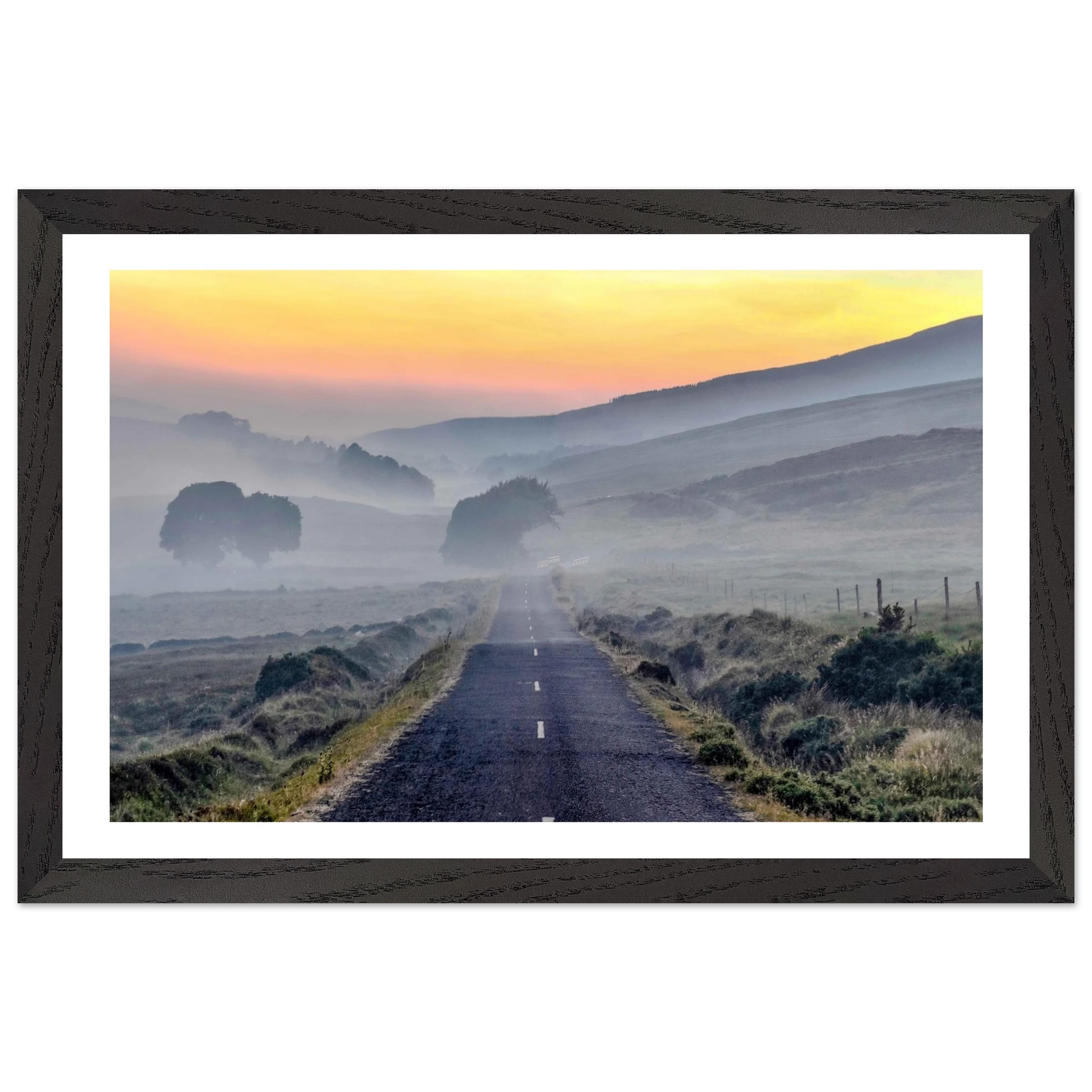 f570ff5c-5722-431b-ad23-9e898633a679