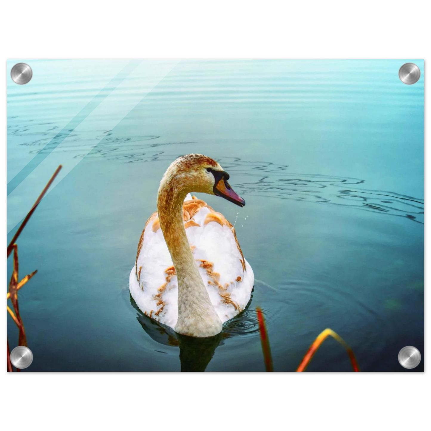 f57c2a68-0e30-4c88-b5ee-66ee3c017739