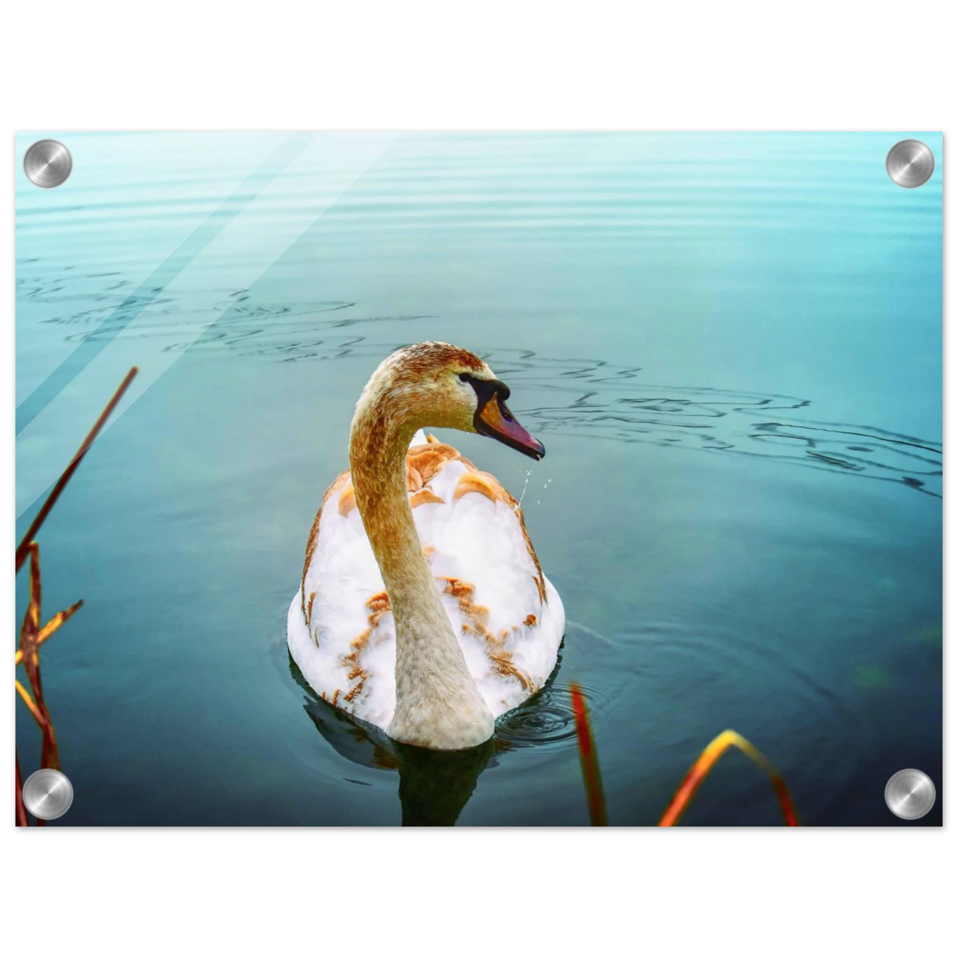 f57c2a68-0e30-4c88-b5ee-66ee3c017739