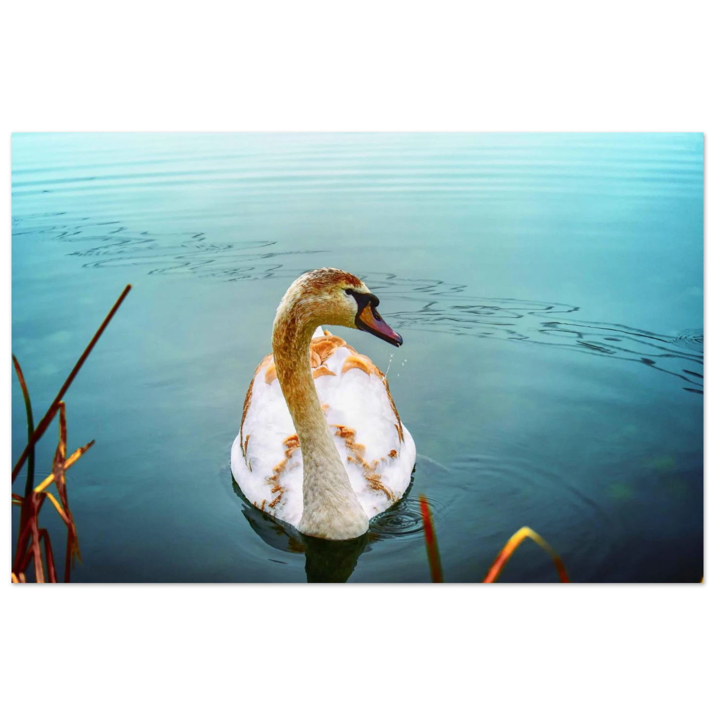 f58e82c3-b06f-4eb6-b3a1-86c91f89584f