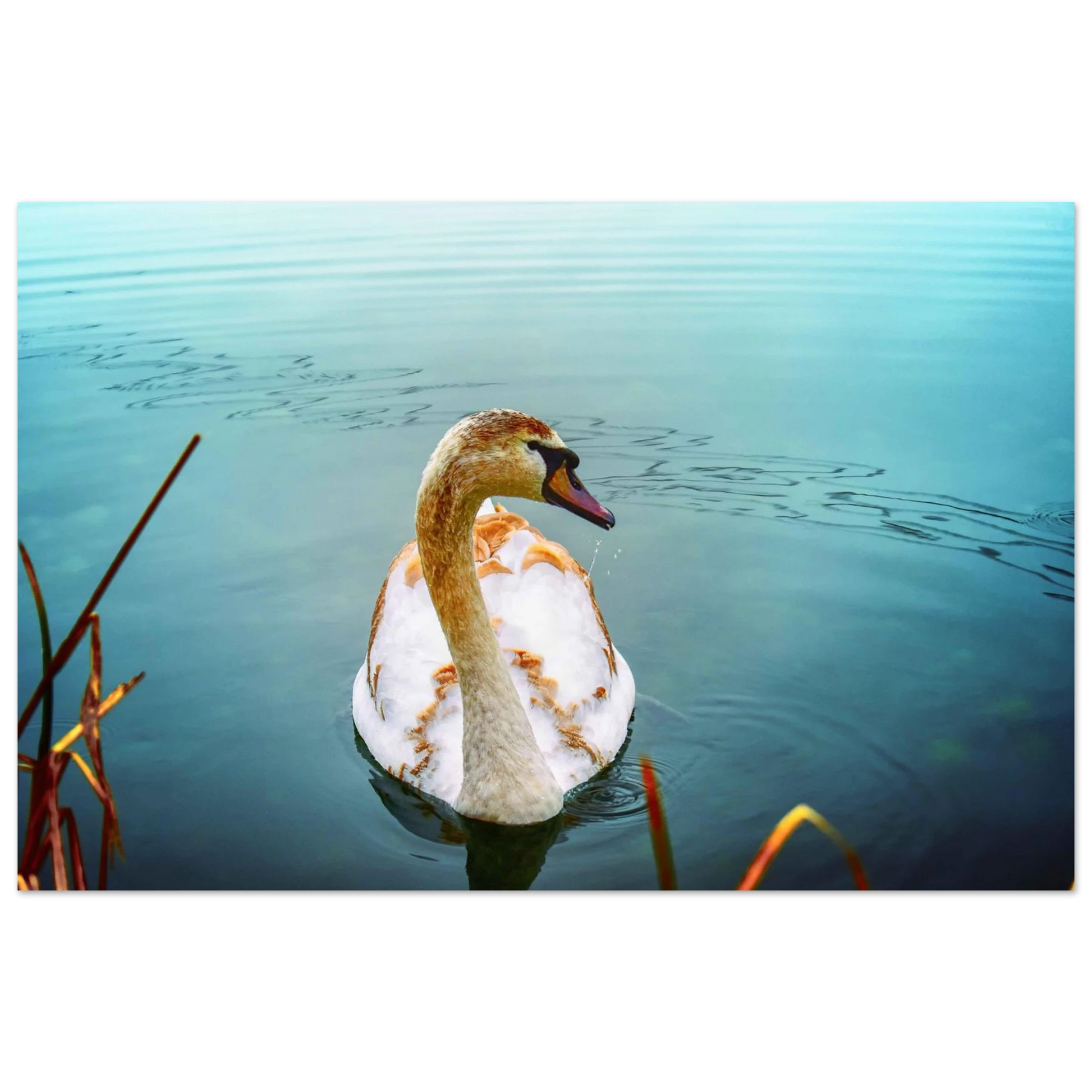 f58e82c3-b06f-4eb6-b3a1-86c91f89584f