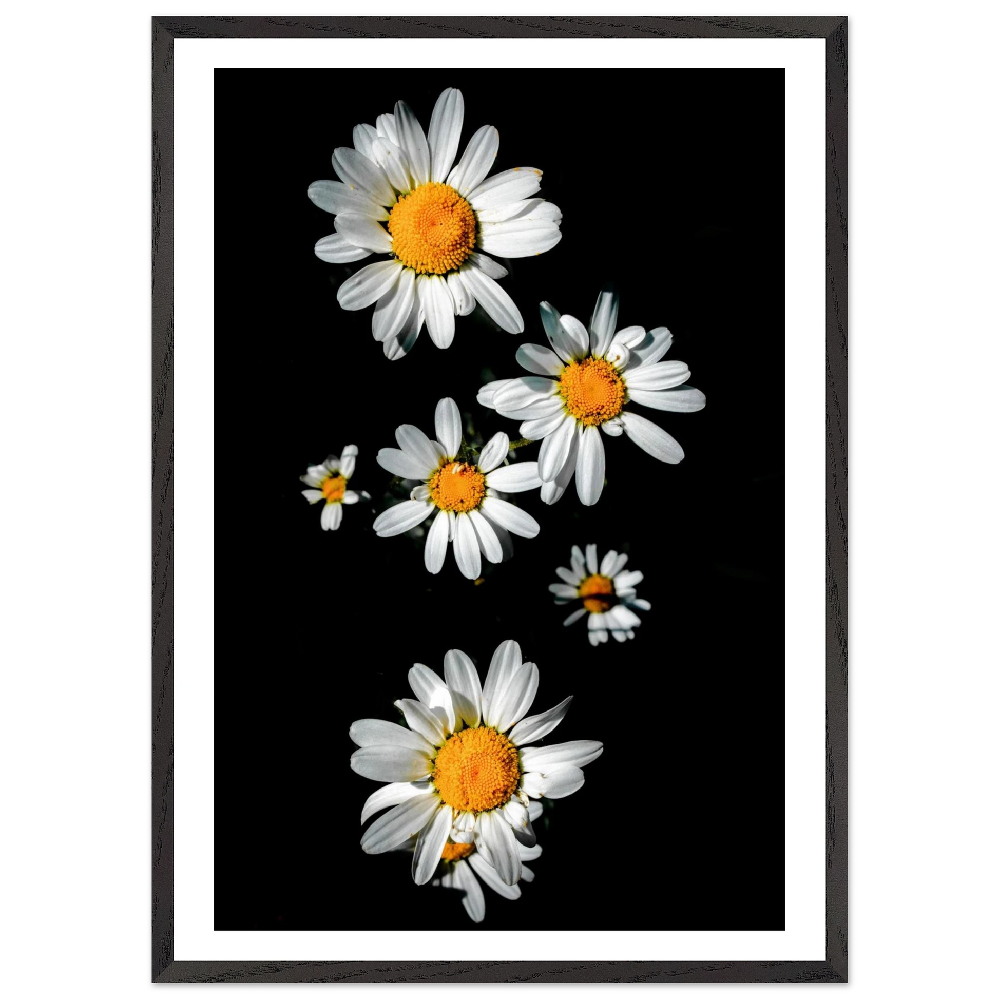 f5dd07f4-6fd6-4891-9634-147e62cca1a2