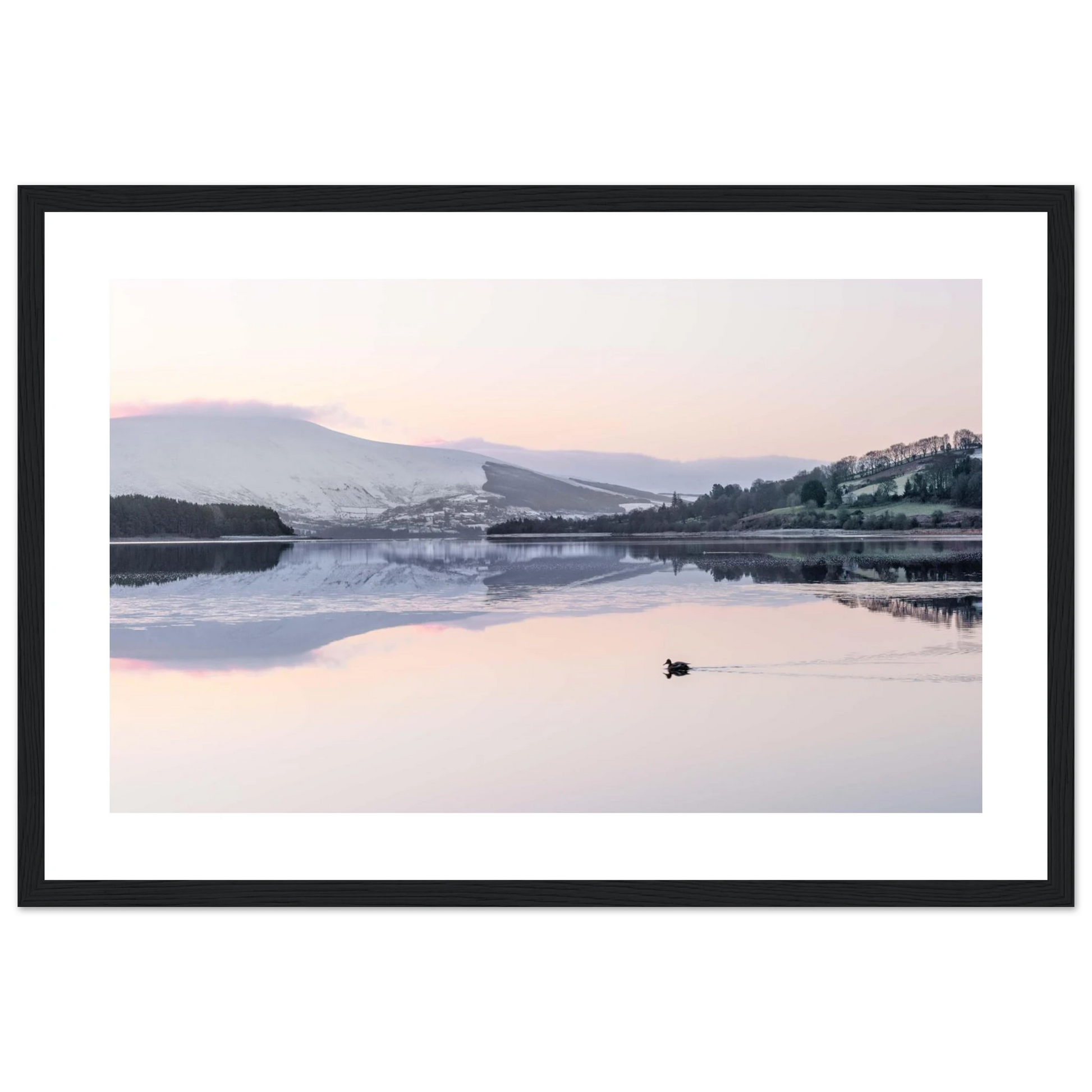 f63fc99b-163d-4752-9c65-6bef39ce7957