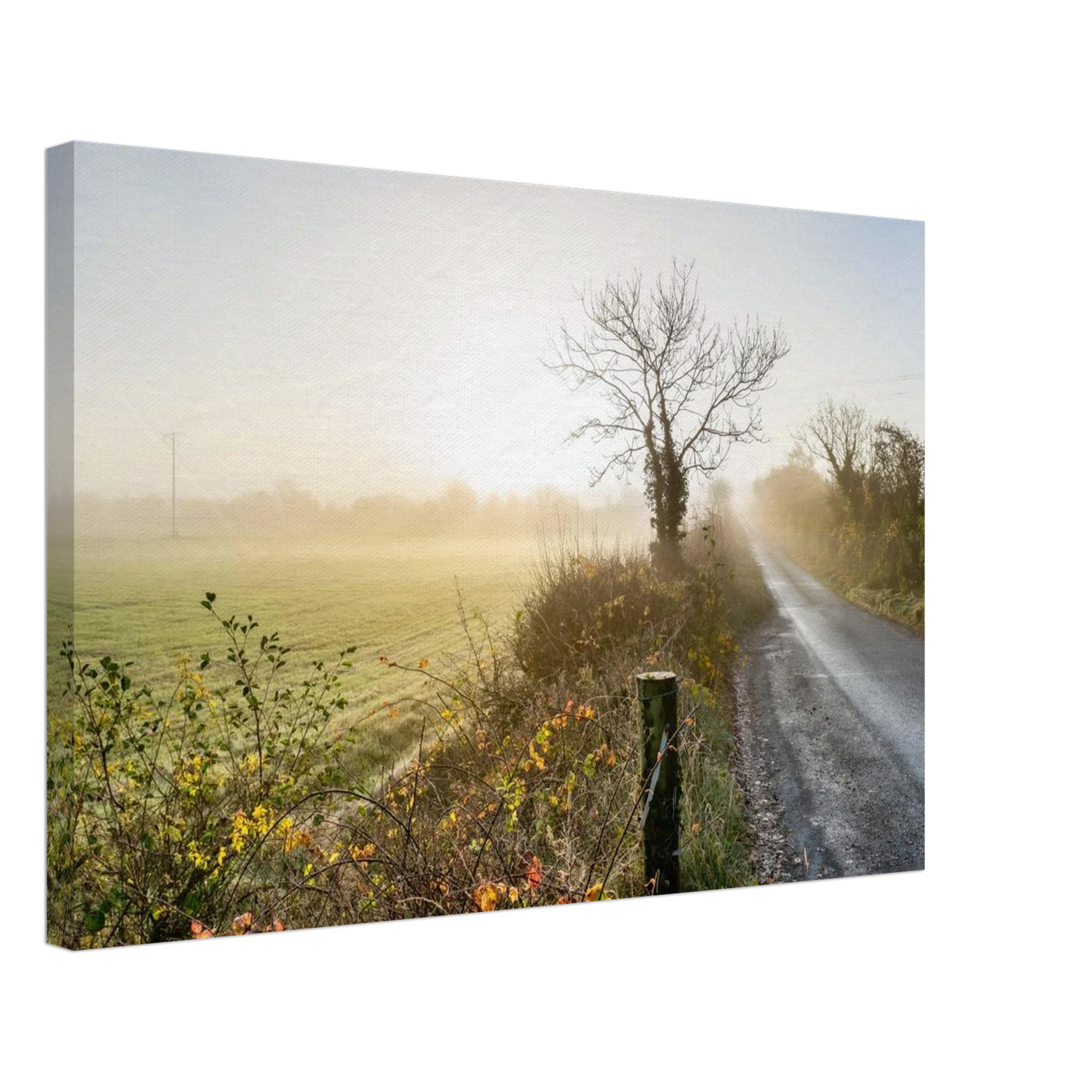 f6543501-71ab-48ad-a865-99724cd89118