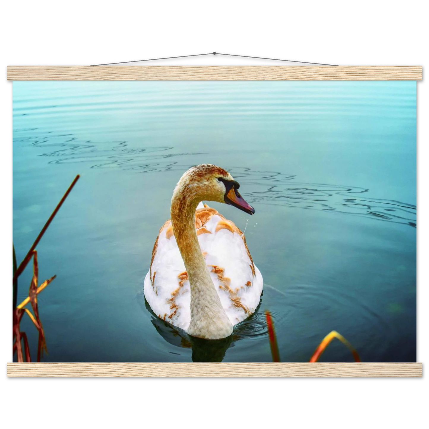 f6550102-b5e6-4936-b37f-5ddb76bd0b66