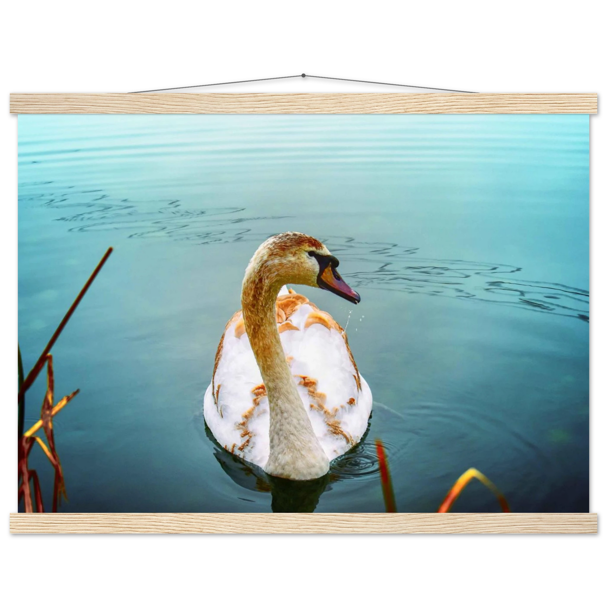 f6550102-b5e6-4936-b37f-5ddb76bd0b66