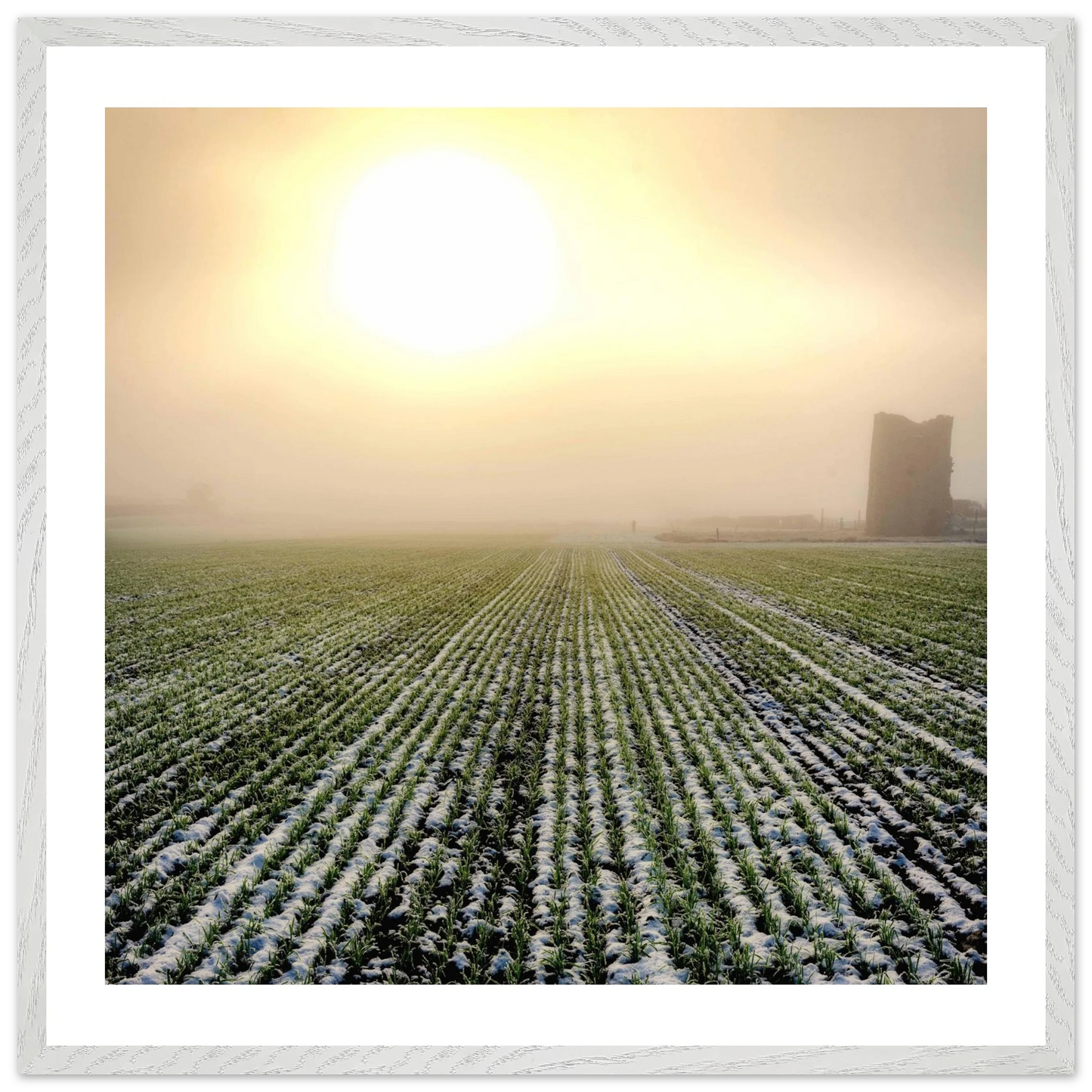 f6c83935-7012-4e4a-8b63-a6ac63ca5204