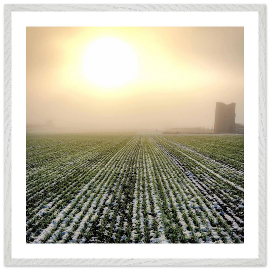 f6c83935-7012-4e4a-8b63-a6ac63ca5204