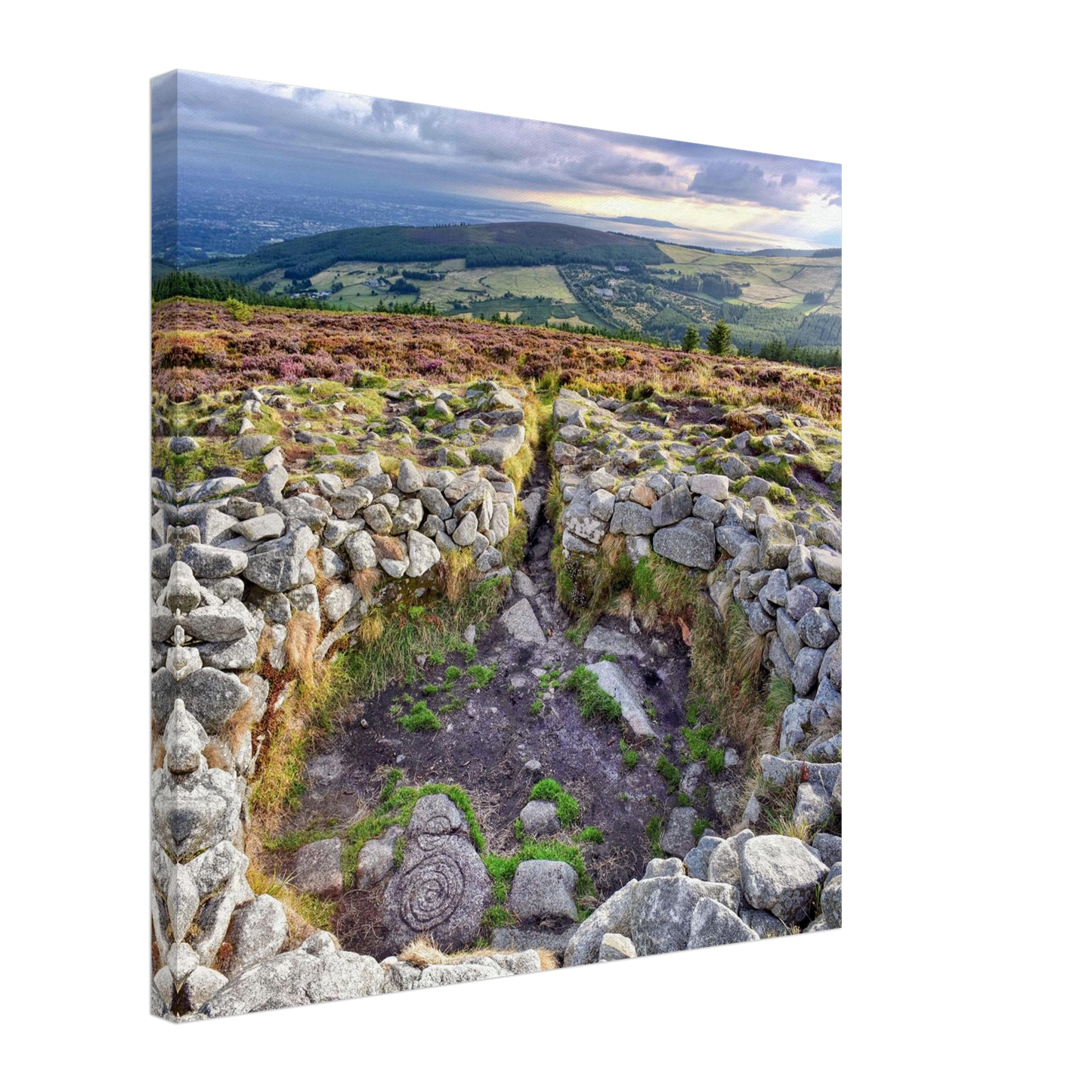 f6db5565-59c8-40a5-8864-e51f4c8e84d1