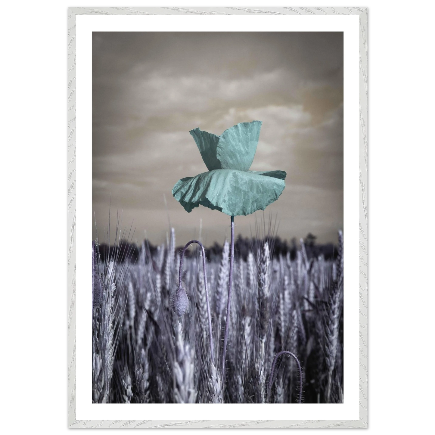 f707b8ea-5cee-404e-8d09-a91ad5d32320