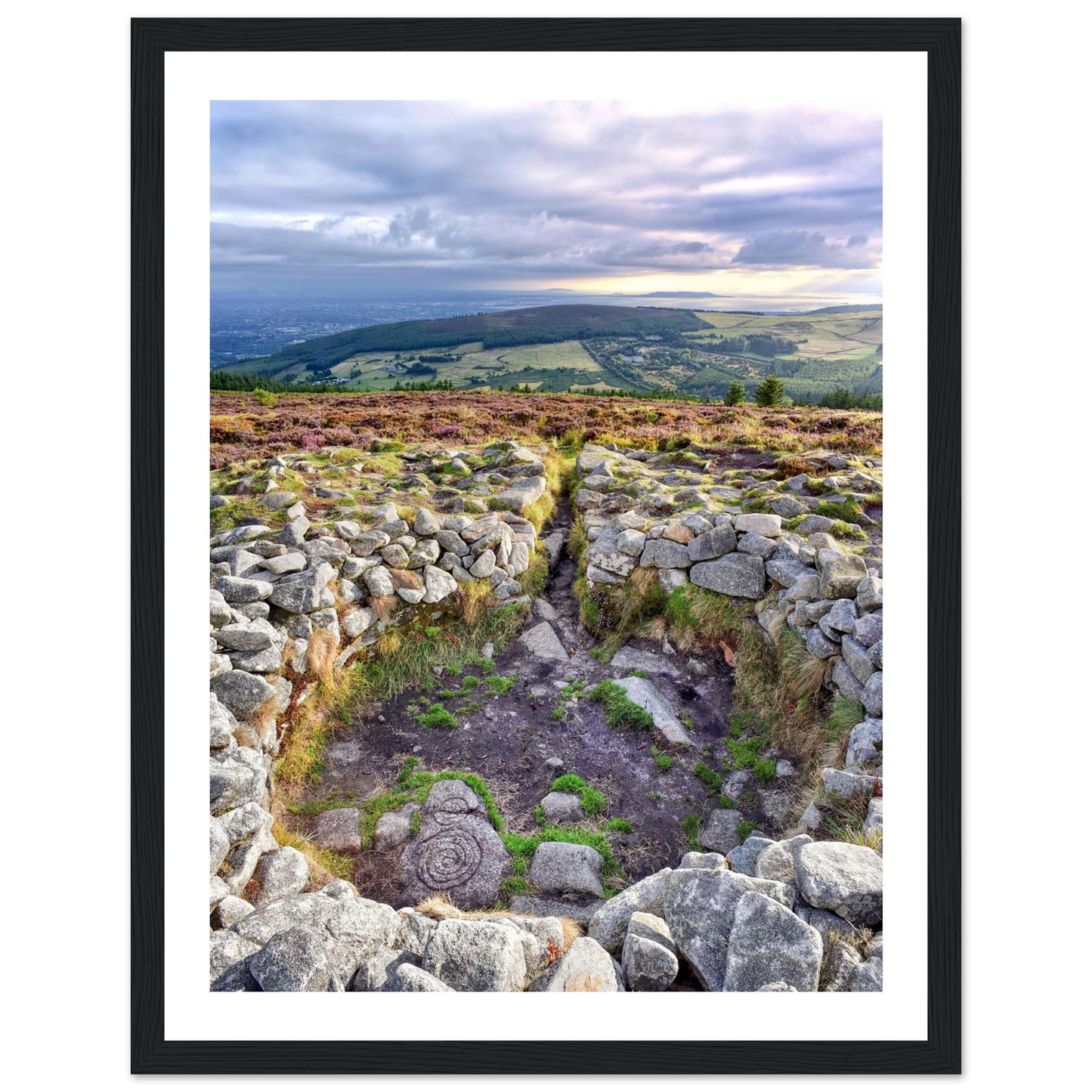 f7240eab-e247-407c-932c-c3291e867a85