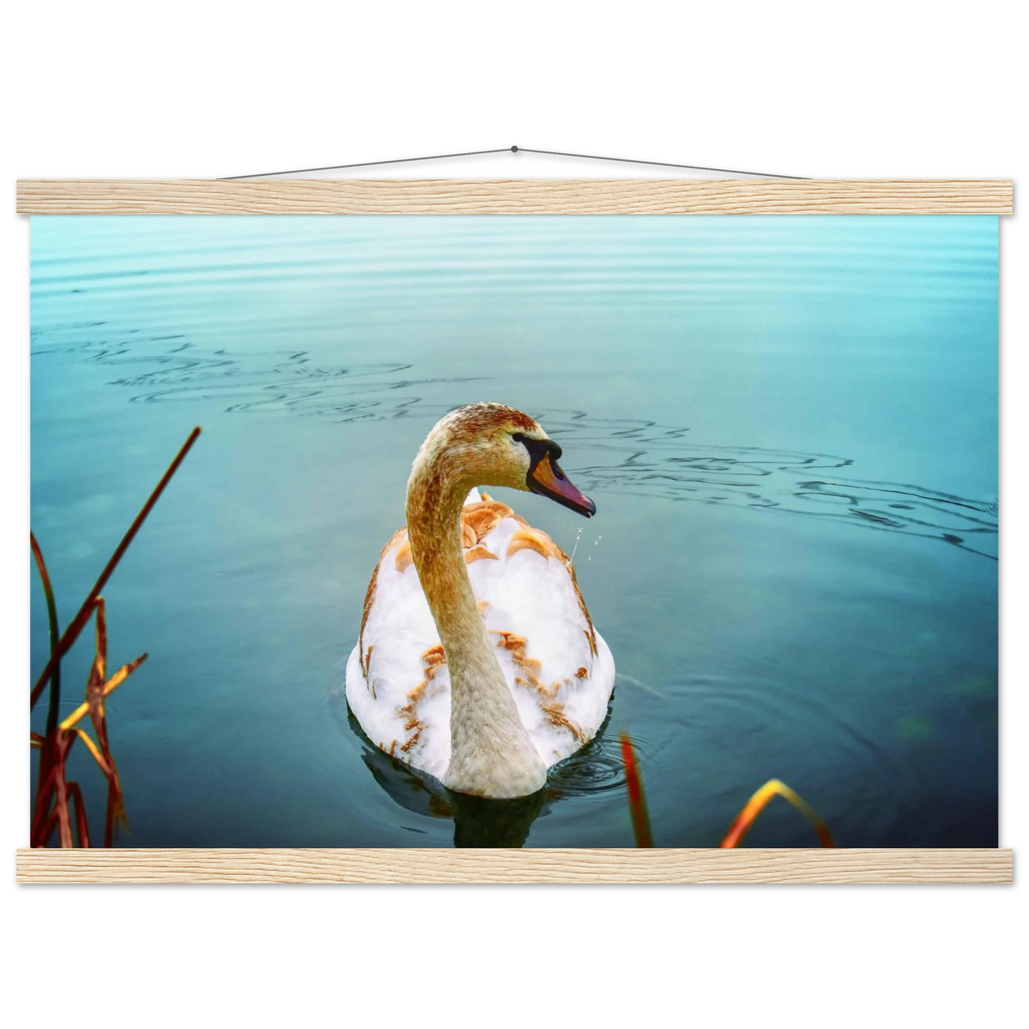 f7253bca-b8d0-4993-a21e-63da236f873a