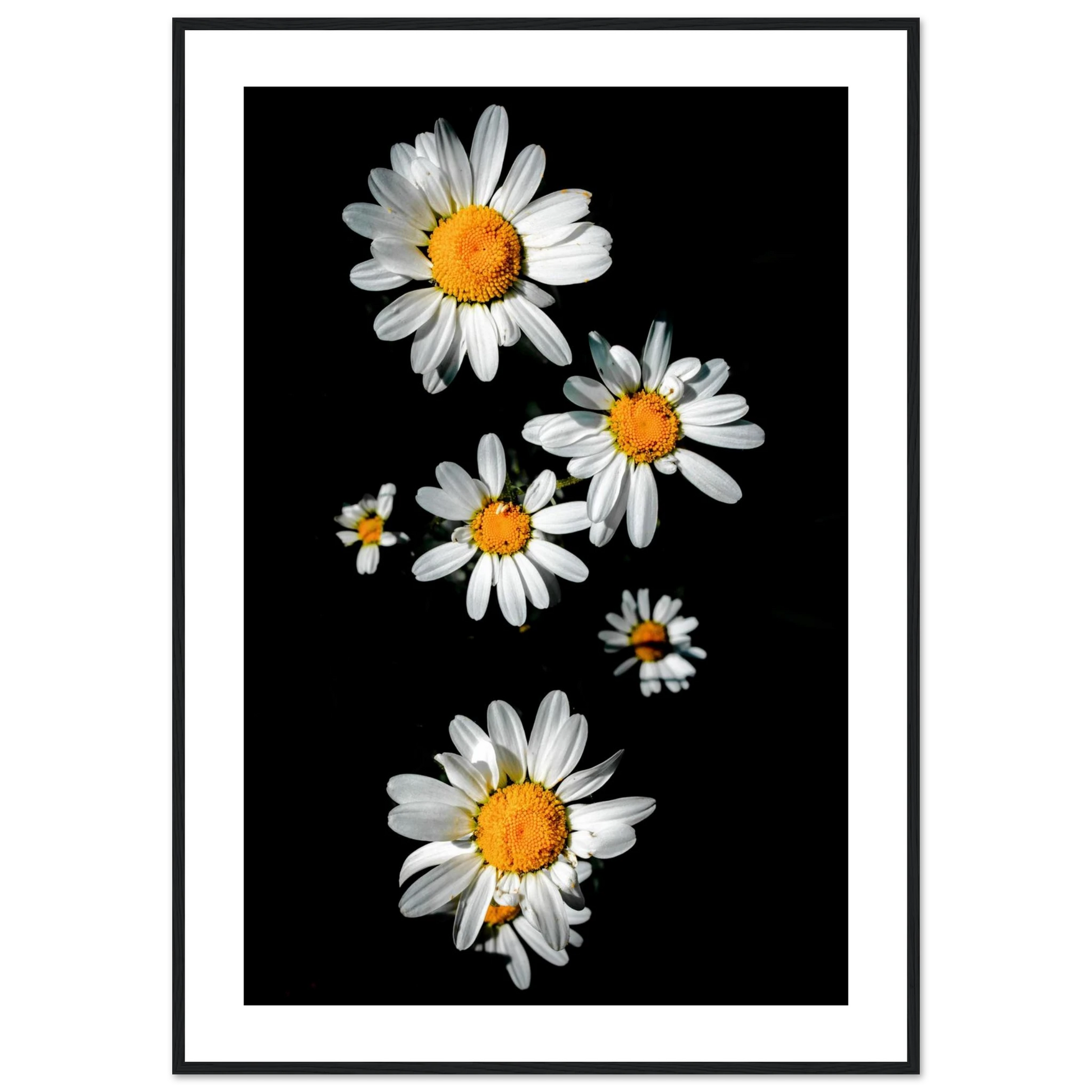 f747daac-f0f0-48ad-9075-aa6fe420900f