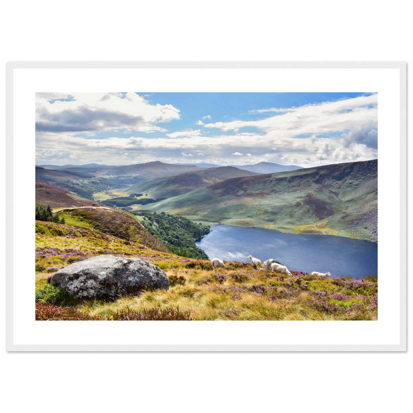 f7a73dbc-cba5-477e-bd7e-4df0b9ab350e