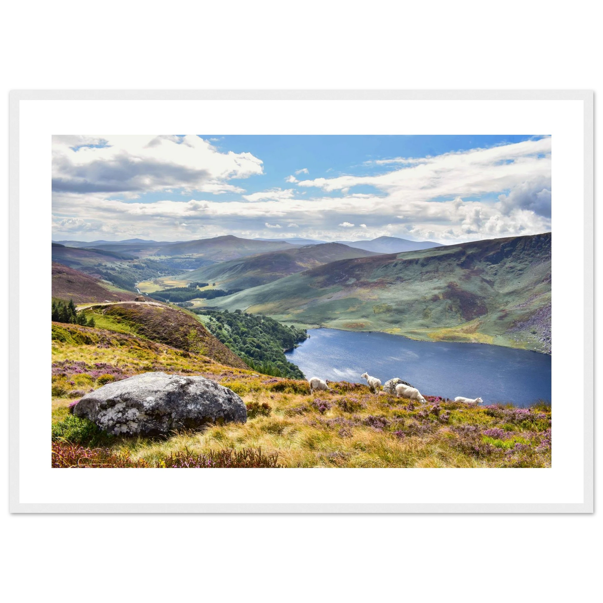 f7a73dbc-cba5-477e-bd7e-4df0b9ab350e