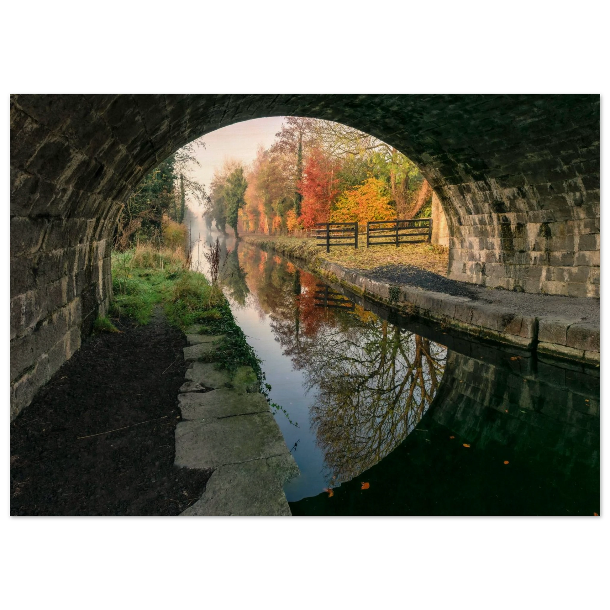 f7bb1c0e-ec23-4653-8289-38b5ce359daf